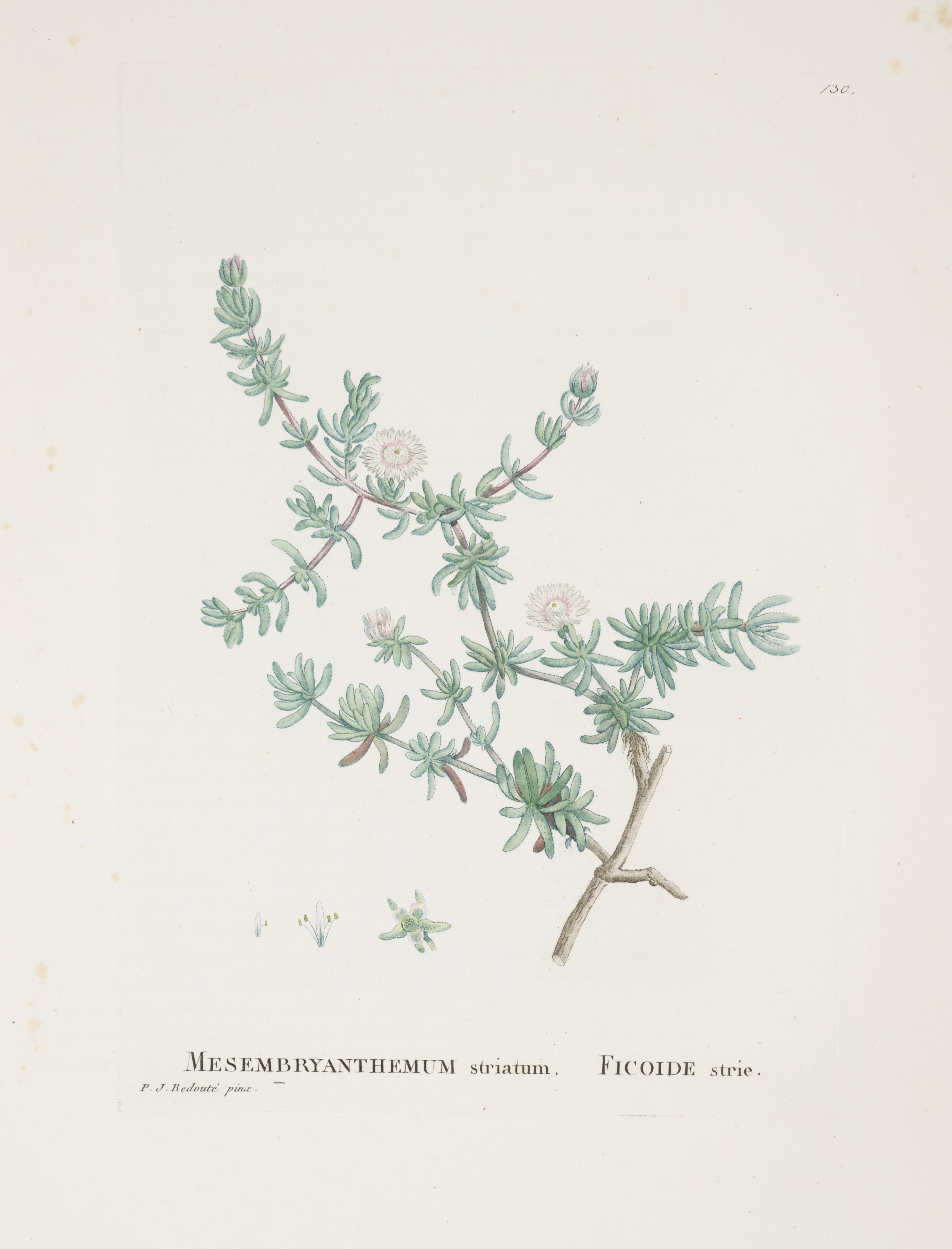 no full size  illustration available (3a)