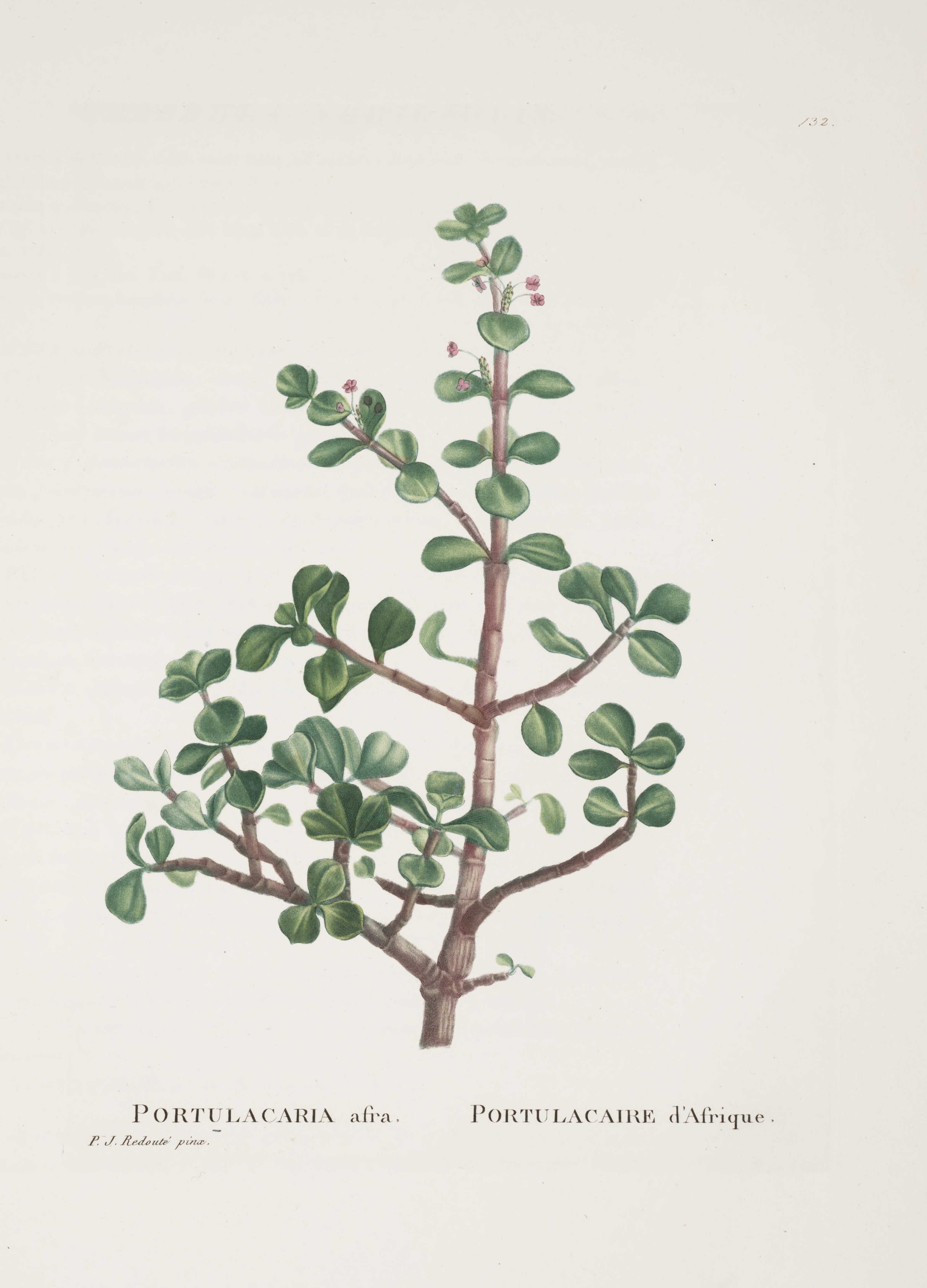 no full size  illustration available (3a)