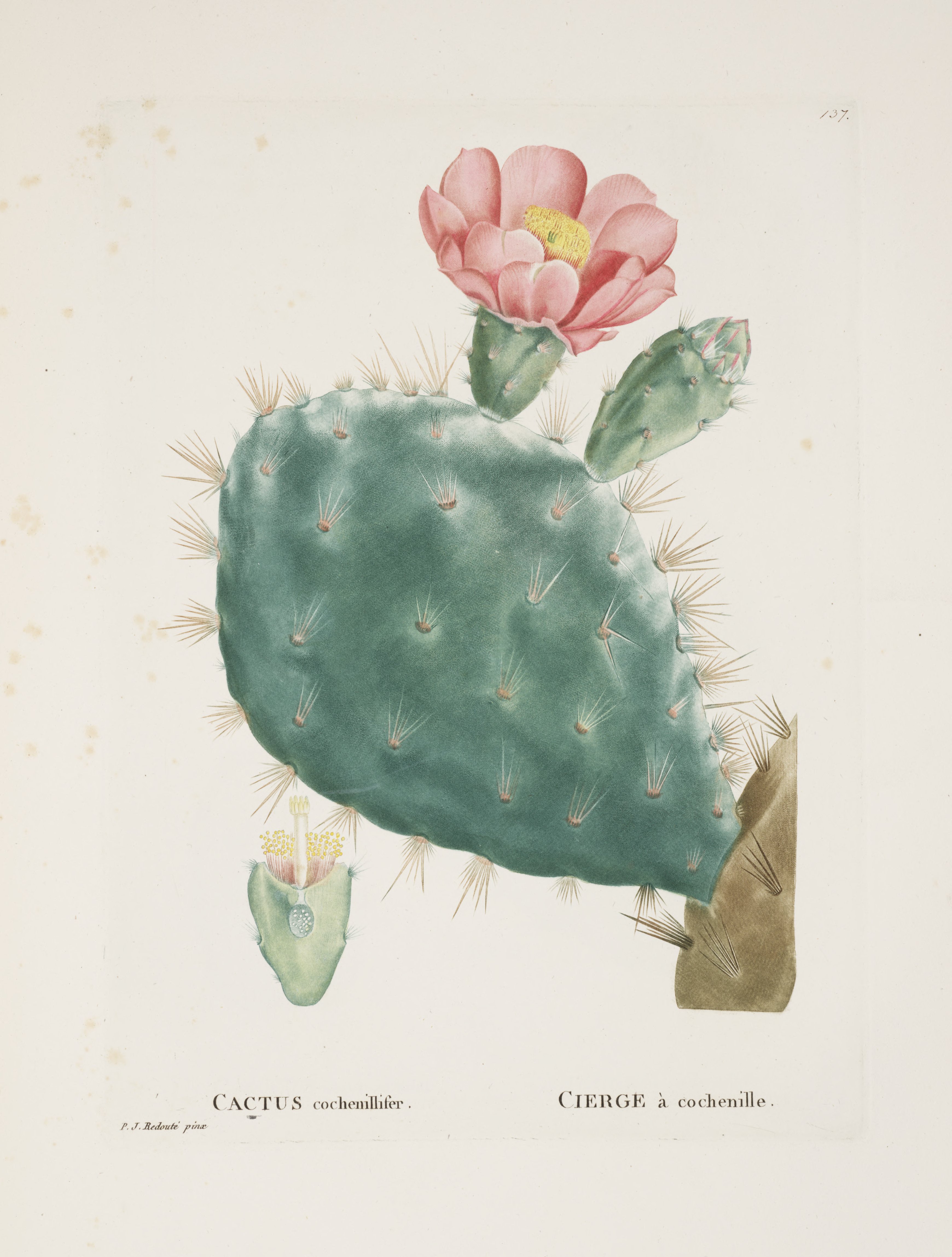 no full size  illustration available (3a)