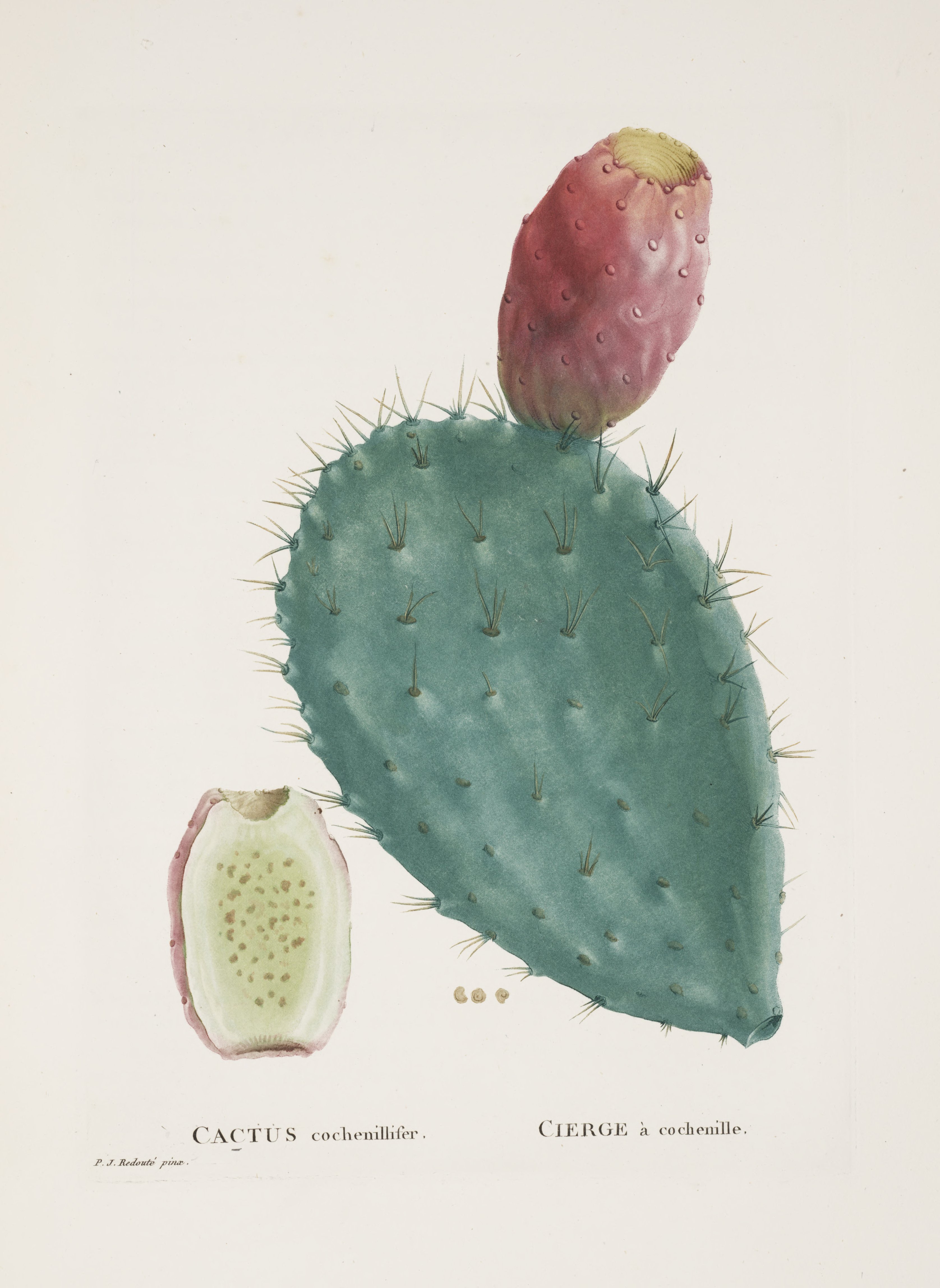 no full size  illustration available (3a)