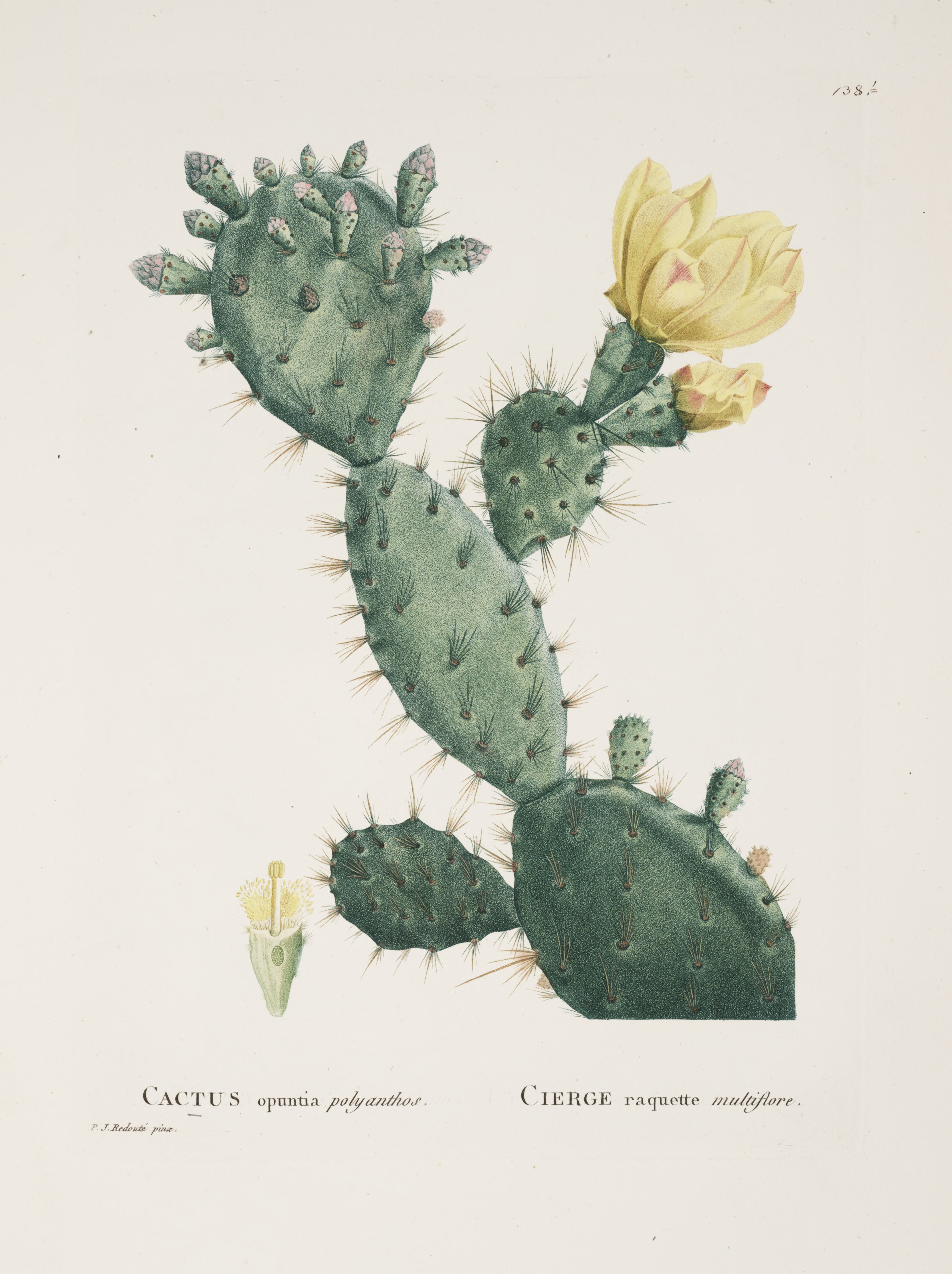 no full size  illustration available (3a)