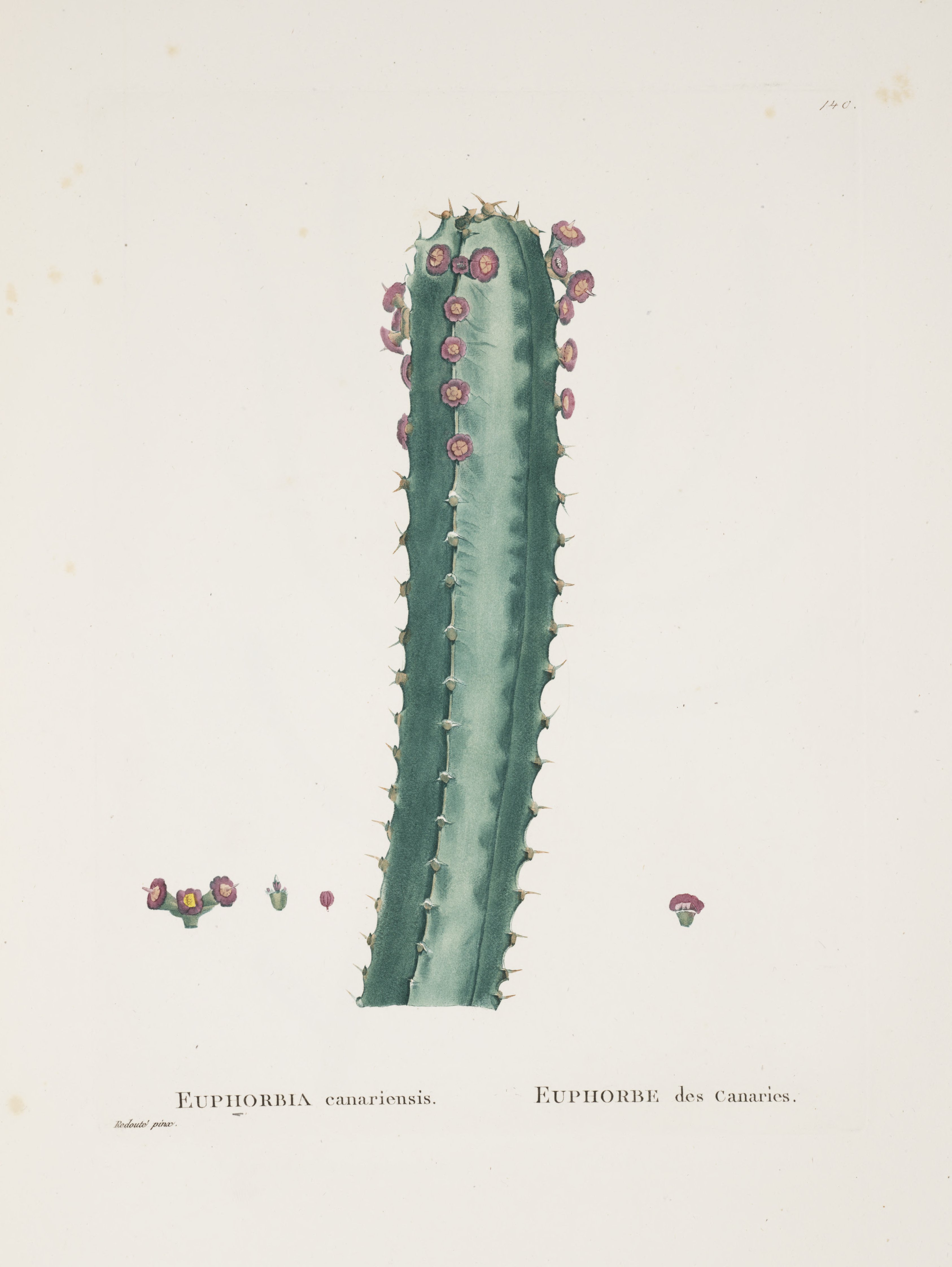 no full size  illustration available (3a)