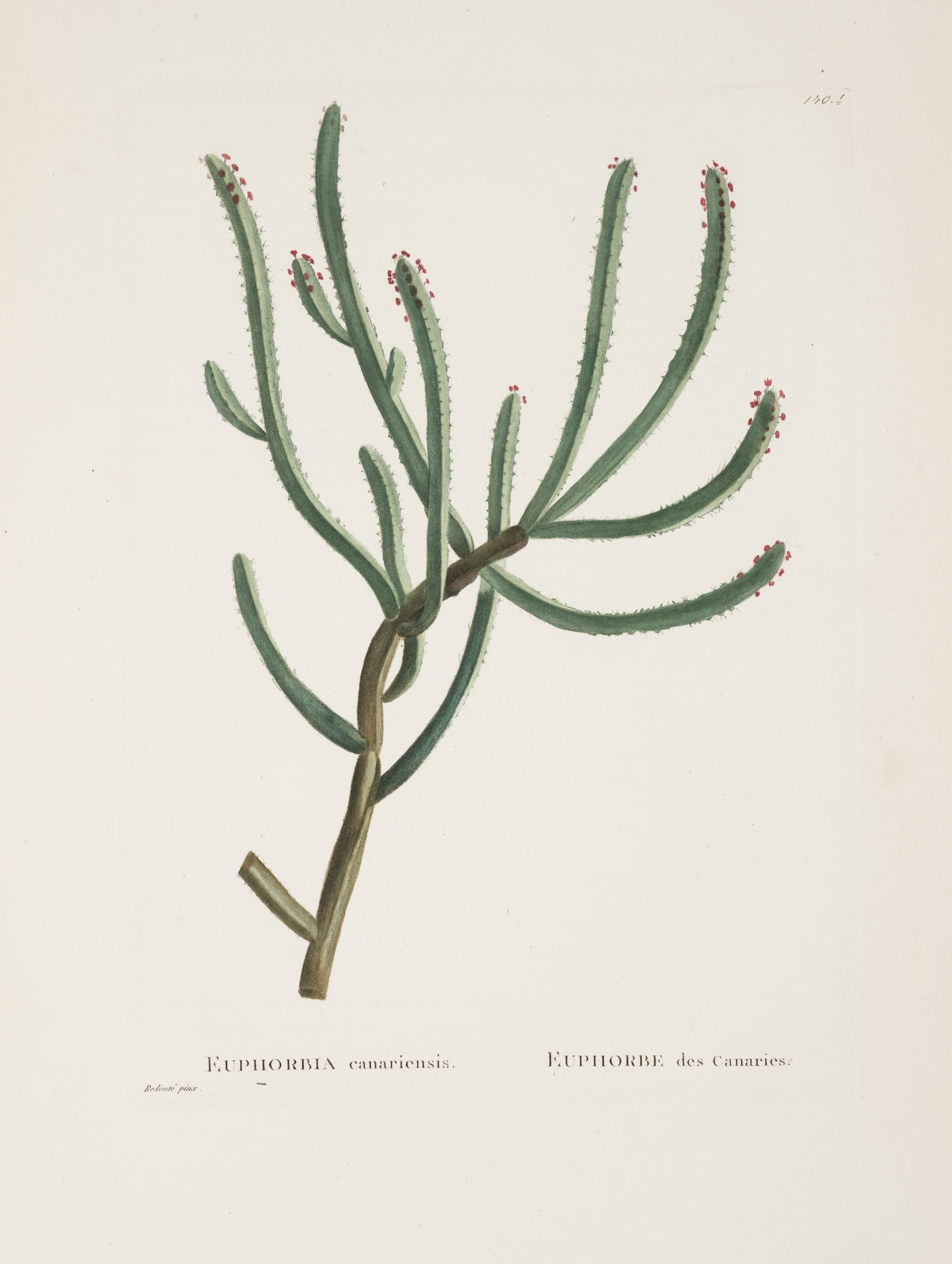 no full size  illustration available (3a)