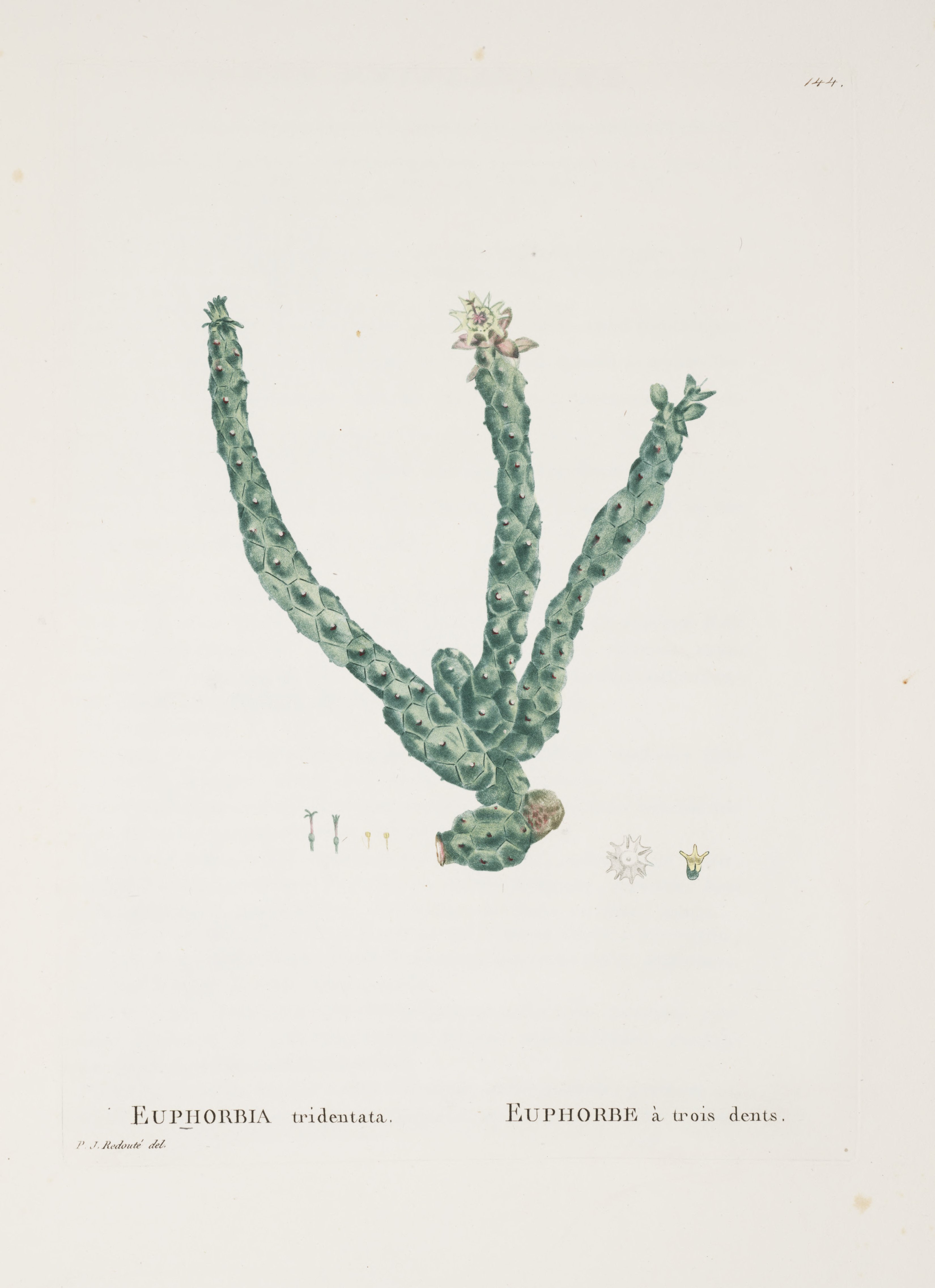 no full size  illustration available (3a)