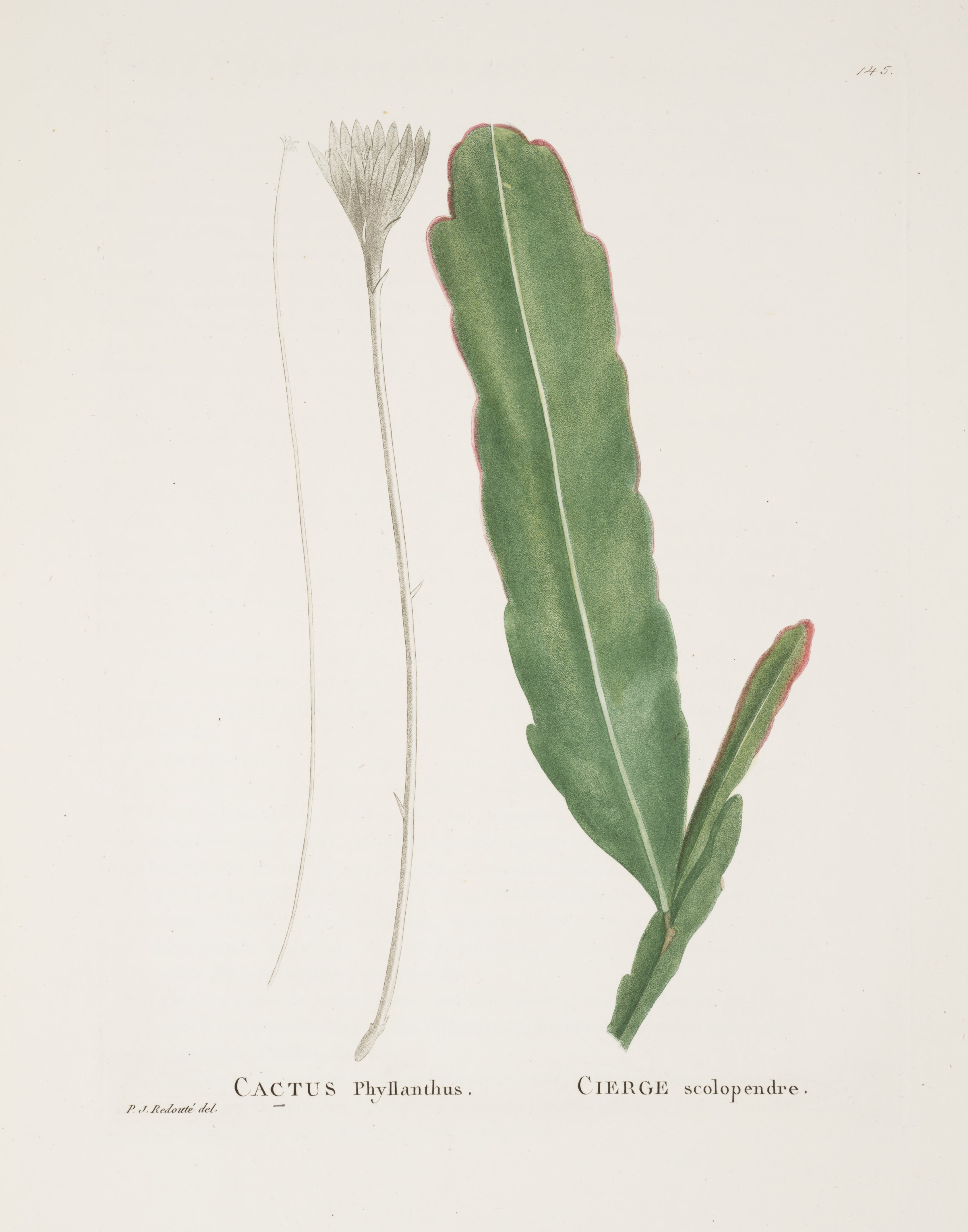 no full size  illustration available (3a)