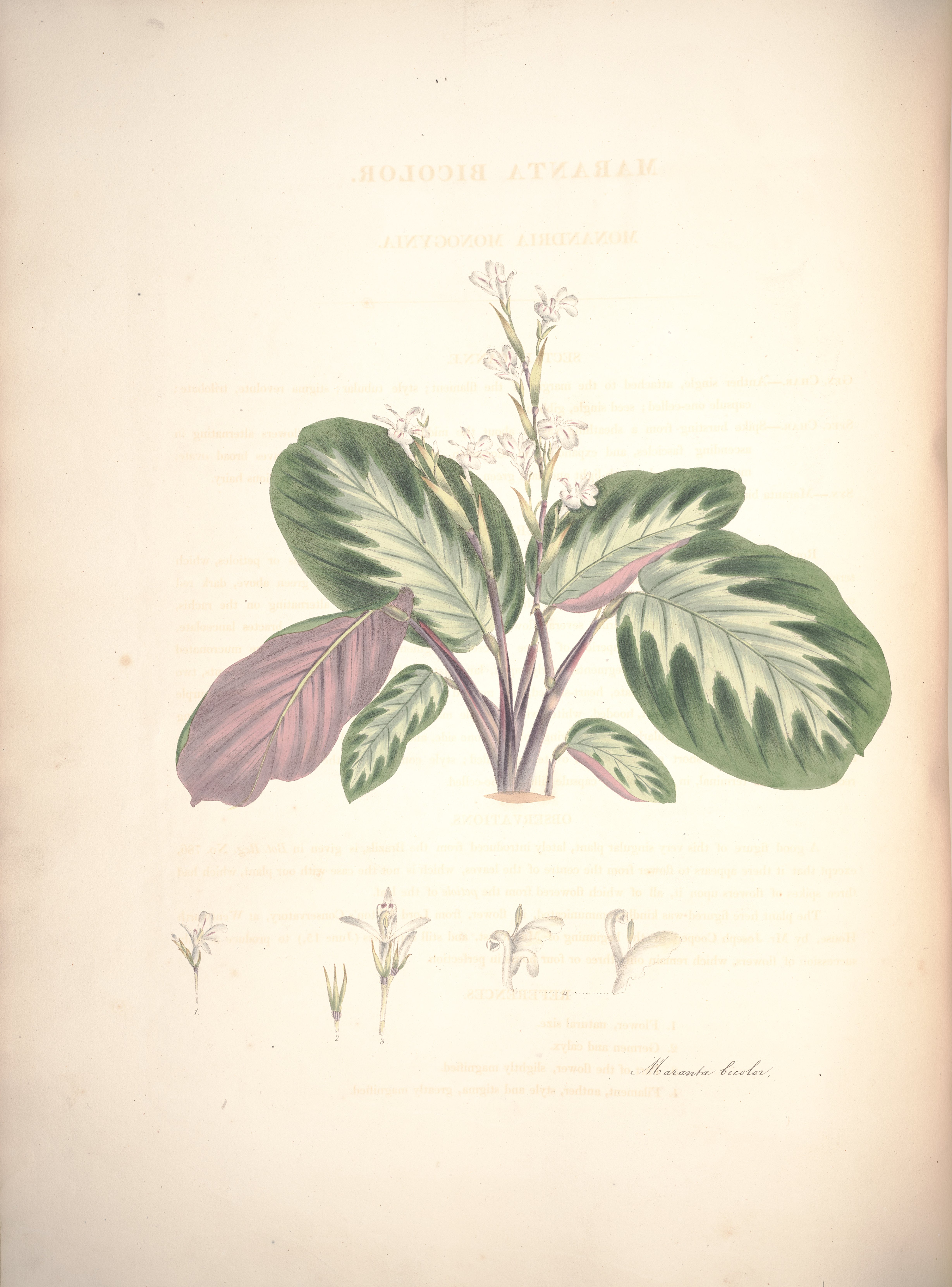 no full size  illustration available (3a)