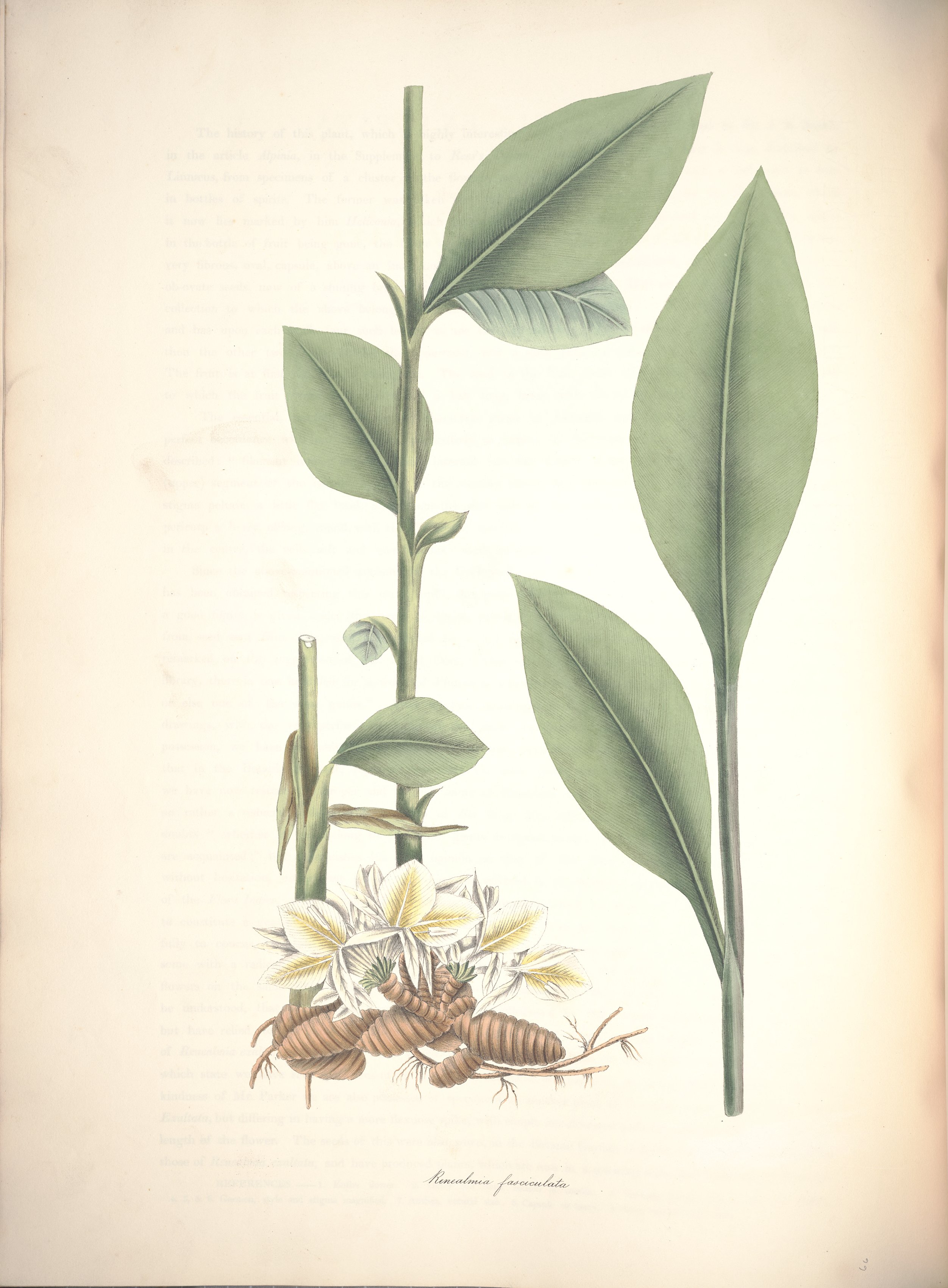 no full size  illustration available (3a)