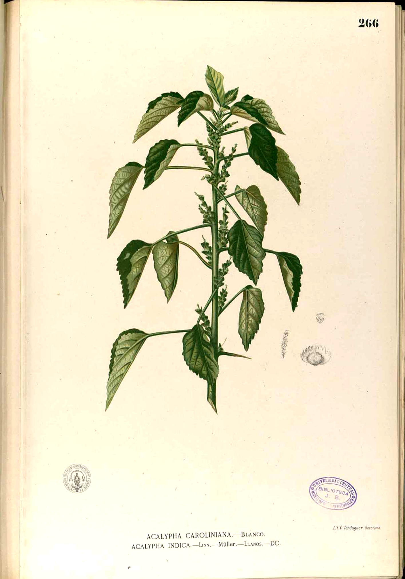 no full size  illustration available (3a)