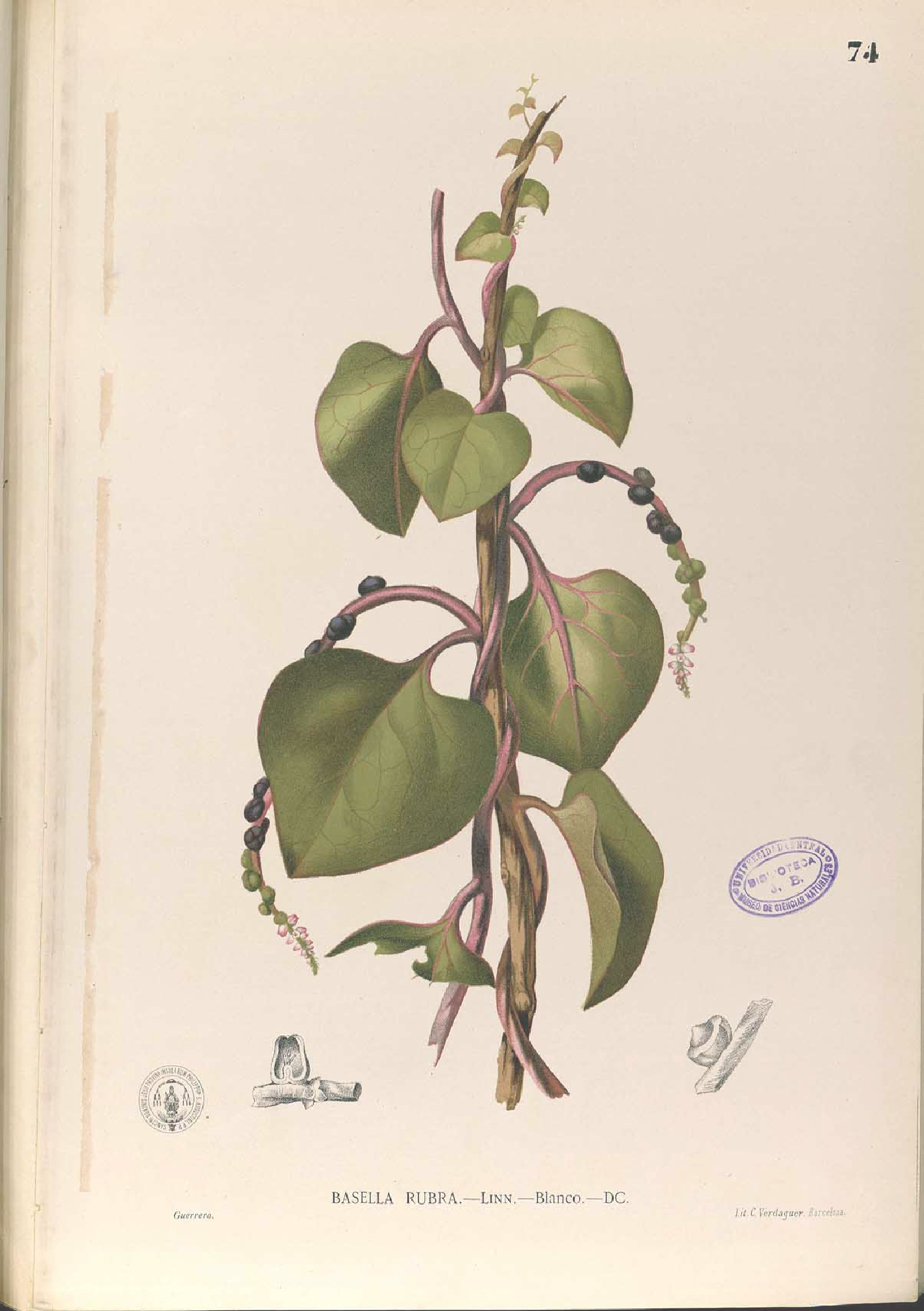 no full size  illustration available (3a)