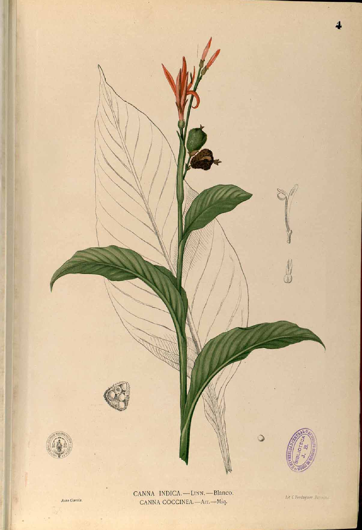 no full size  illustration available (3a)