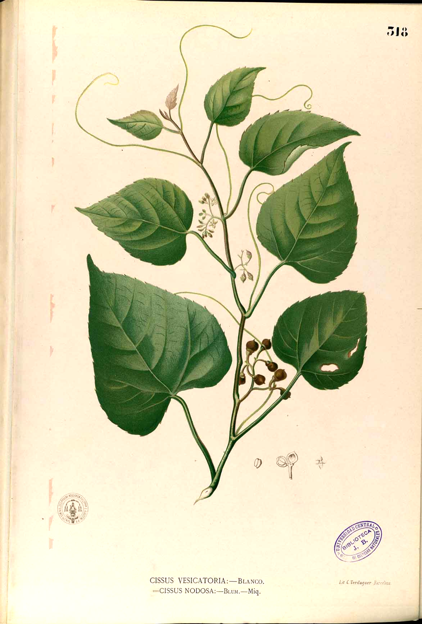 no full size  illustration available (3a)