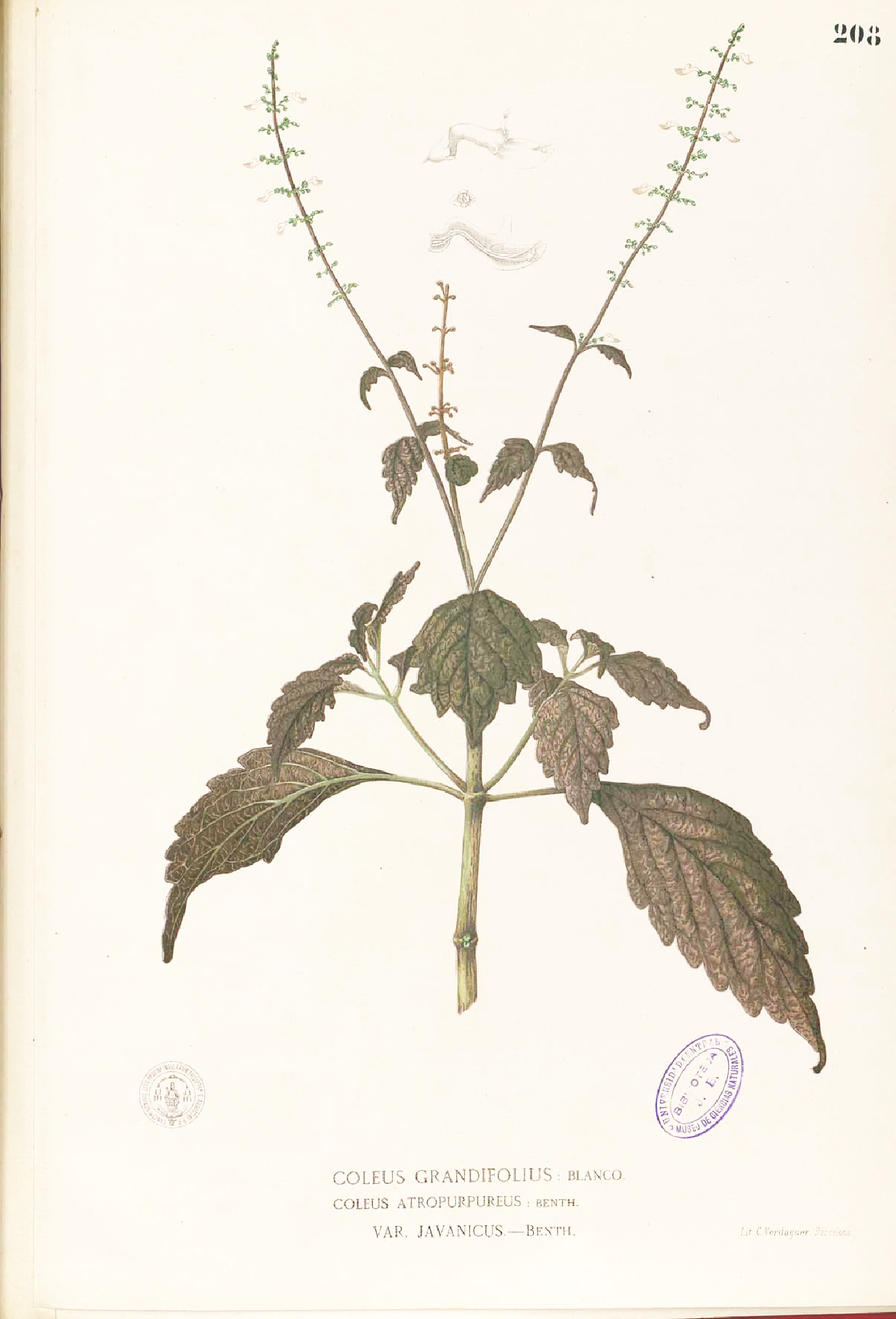 no full size  illustration available (3a)