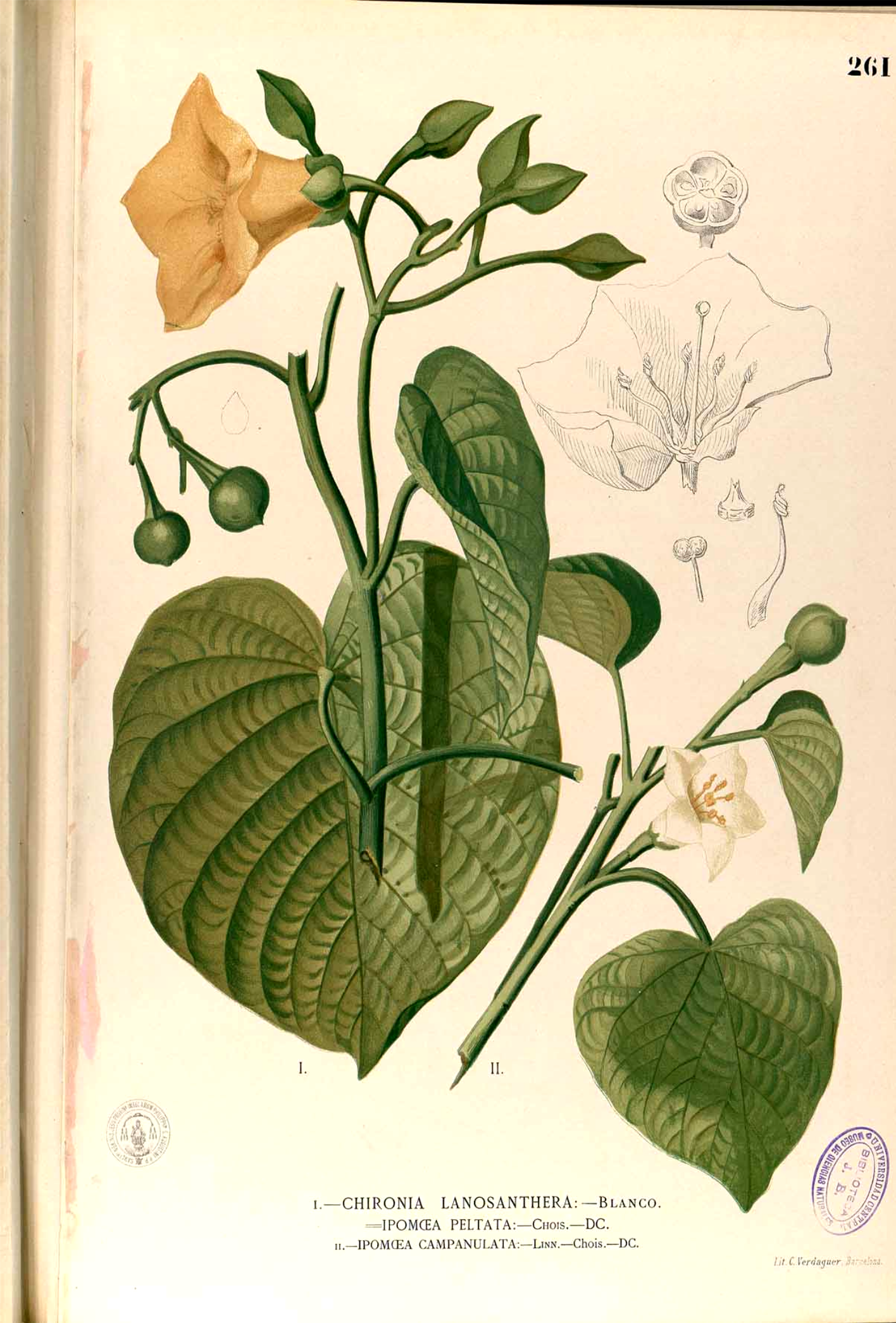 no full size  illustration available (3a)