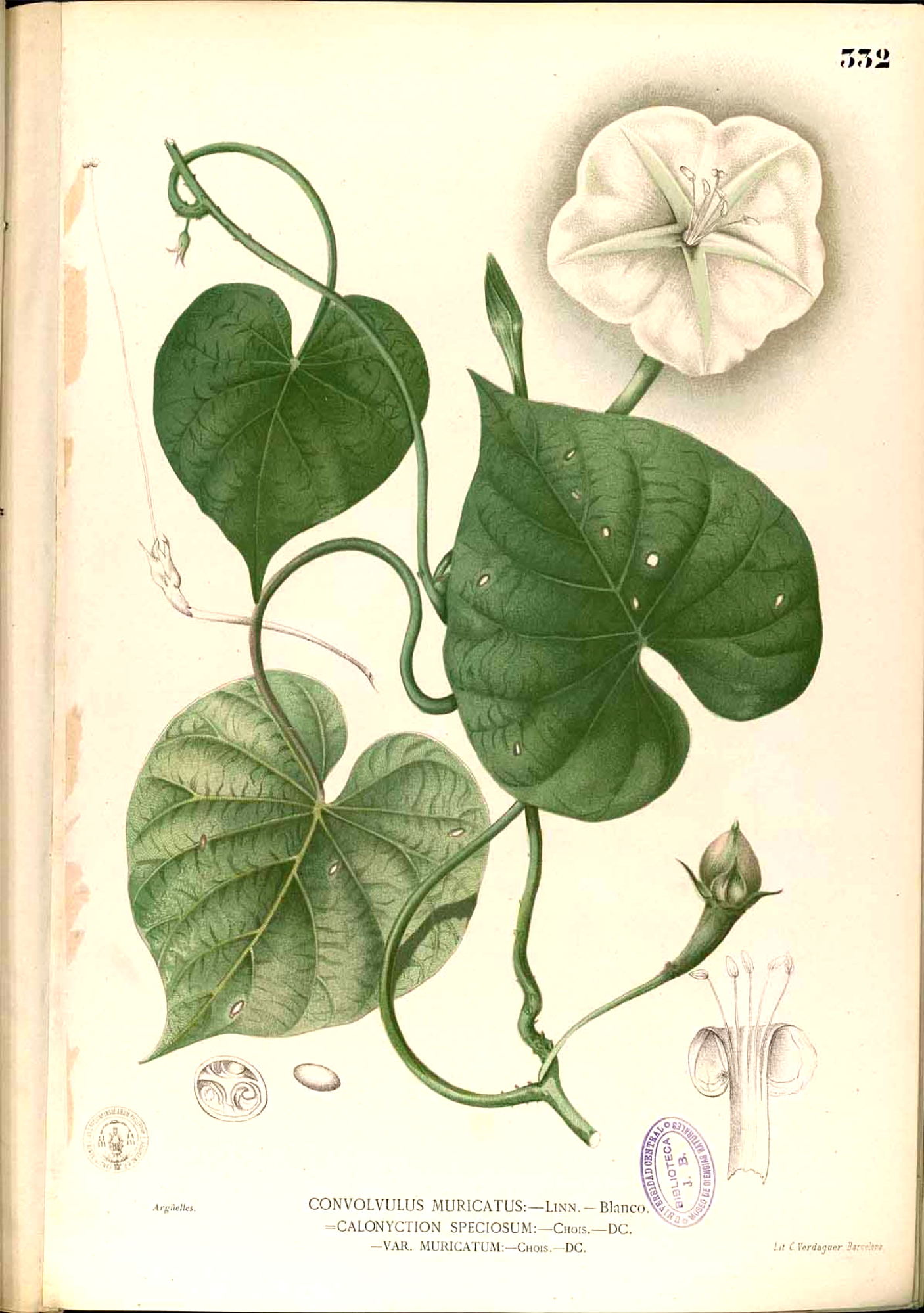 no full size  illustration available (3a)