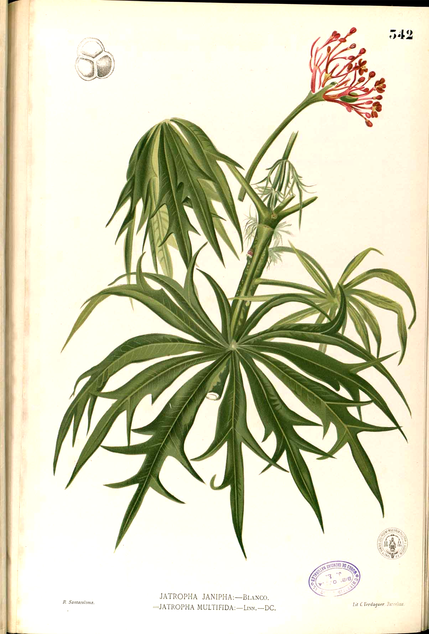 no full size  illustration available (3a)