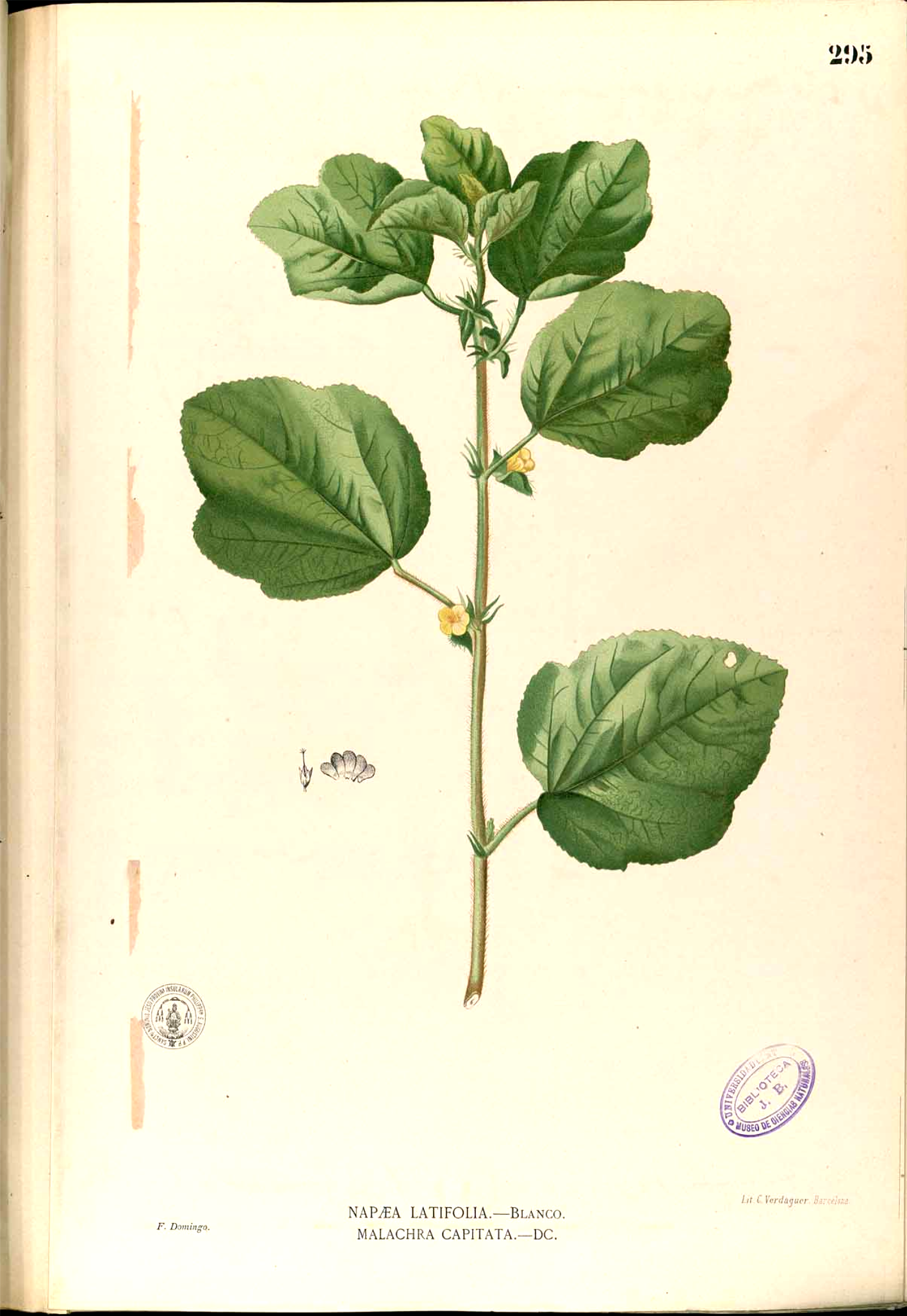 no full size  illustration available (3a)