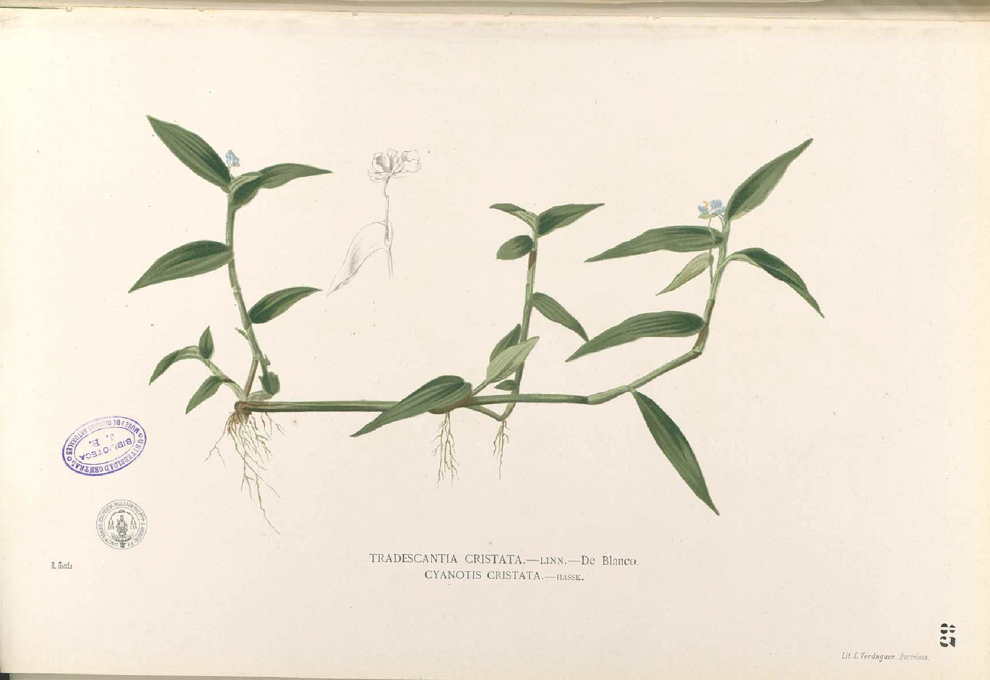 no full size  illustration available (3a)