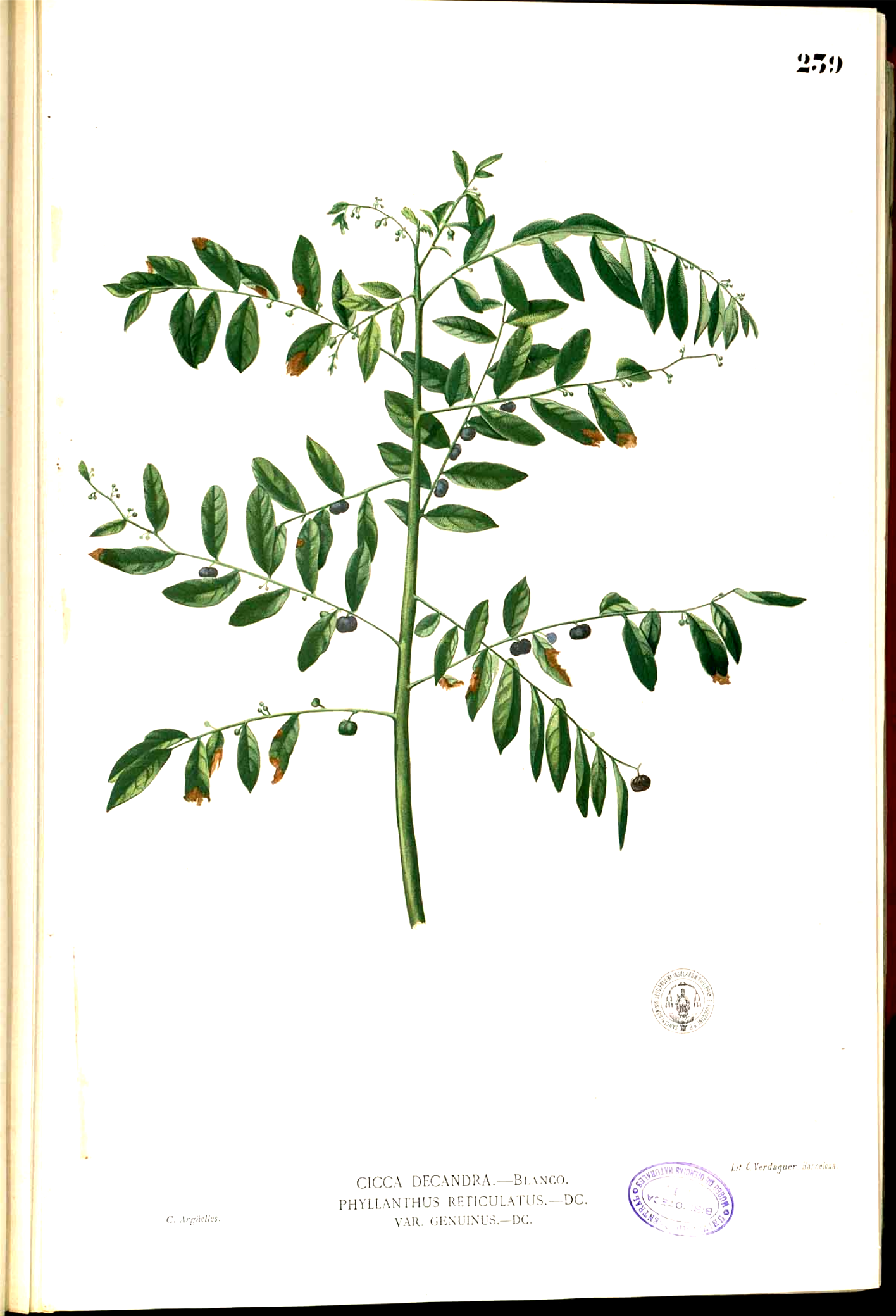 no full size  illustration available (3a)