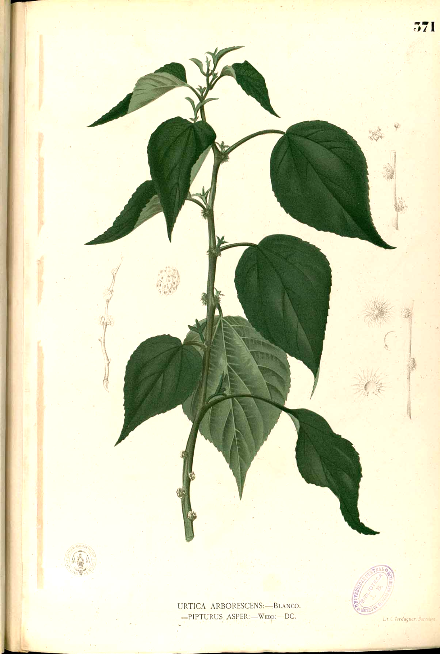 no full size  illustration available (3a)