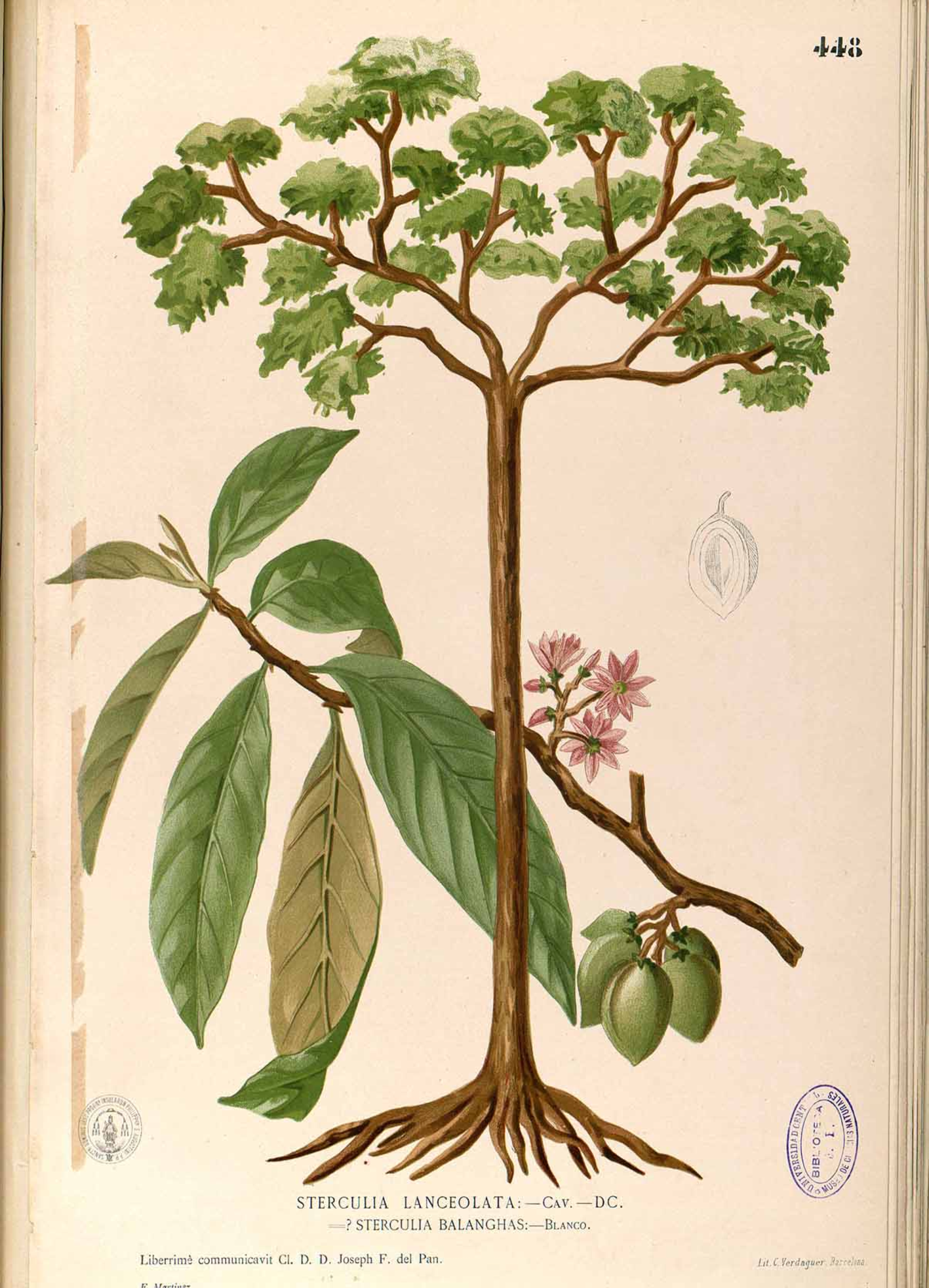 no full size  illustration available (3a)