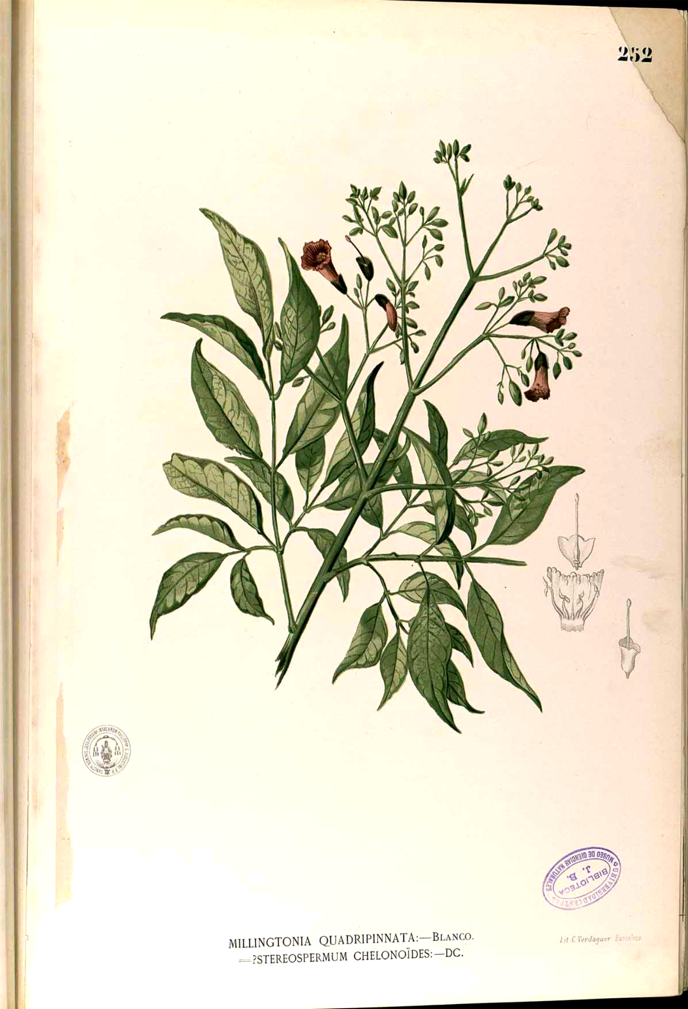 no full size  illustration available (3a)