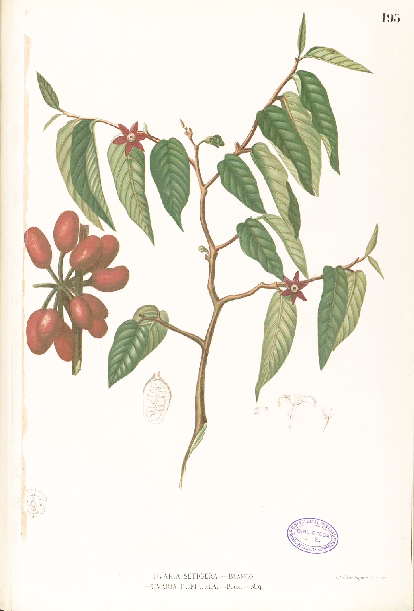 no full size  illustration available (3a)