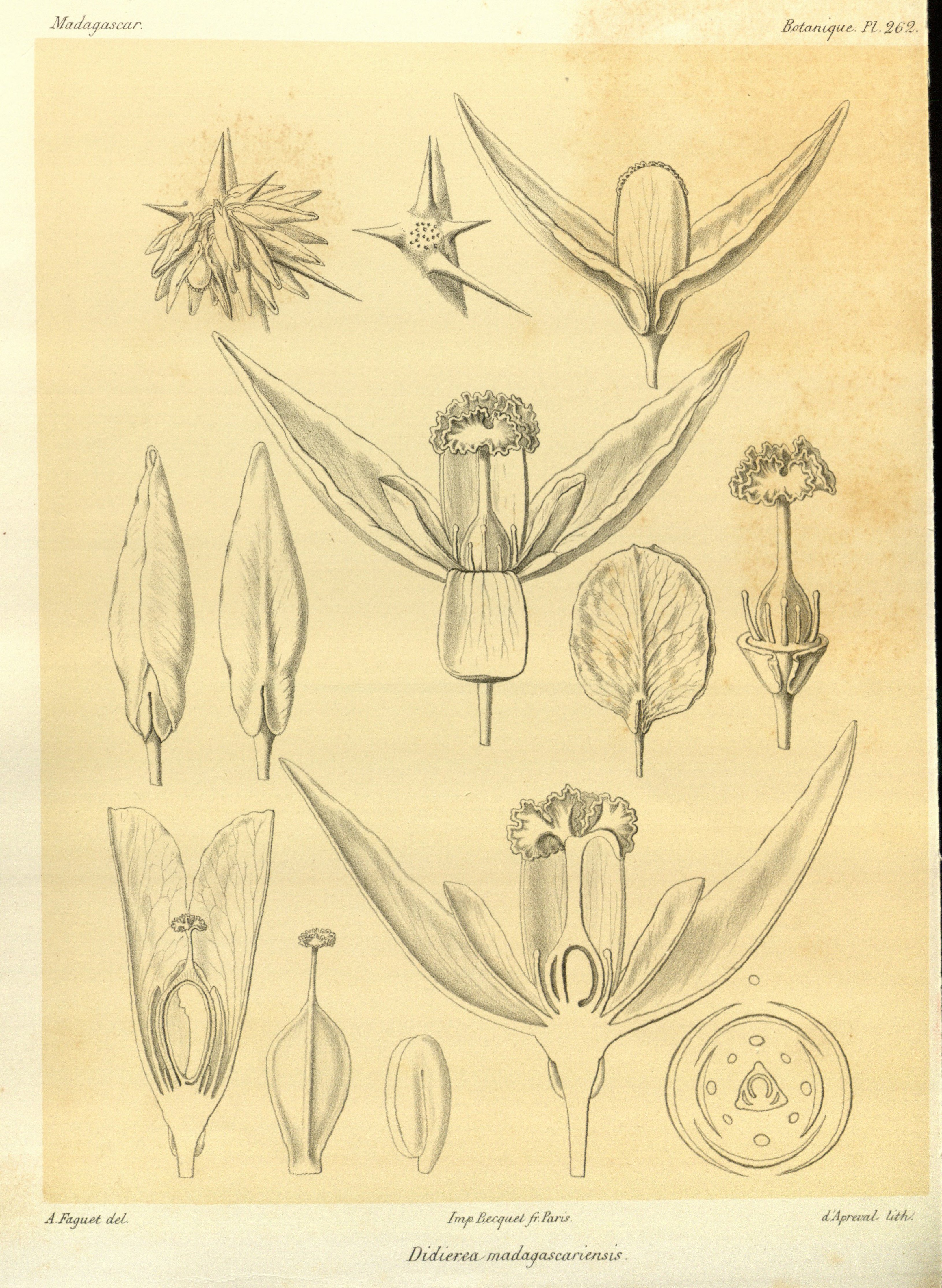 no full size  illustration available (3a)