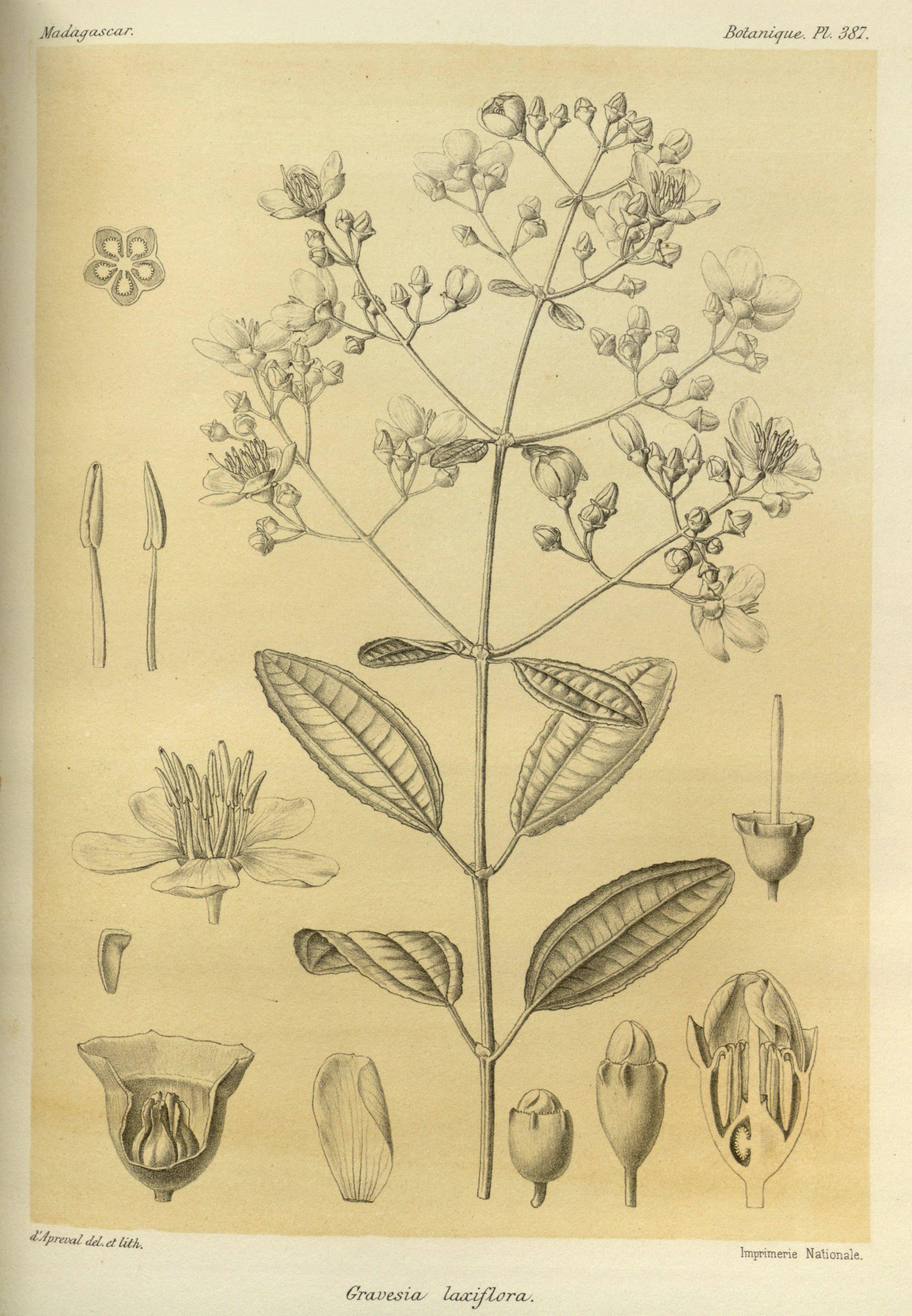 no full size  illustration available (3a)