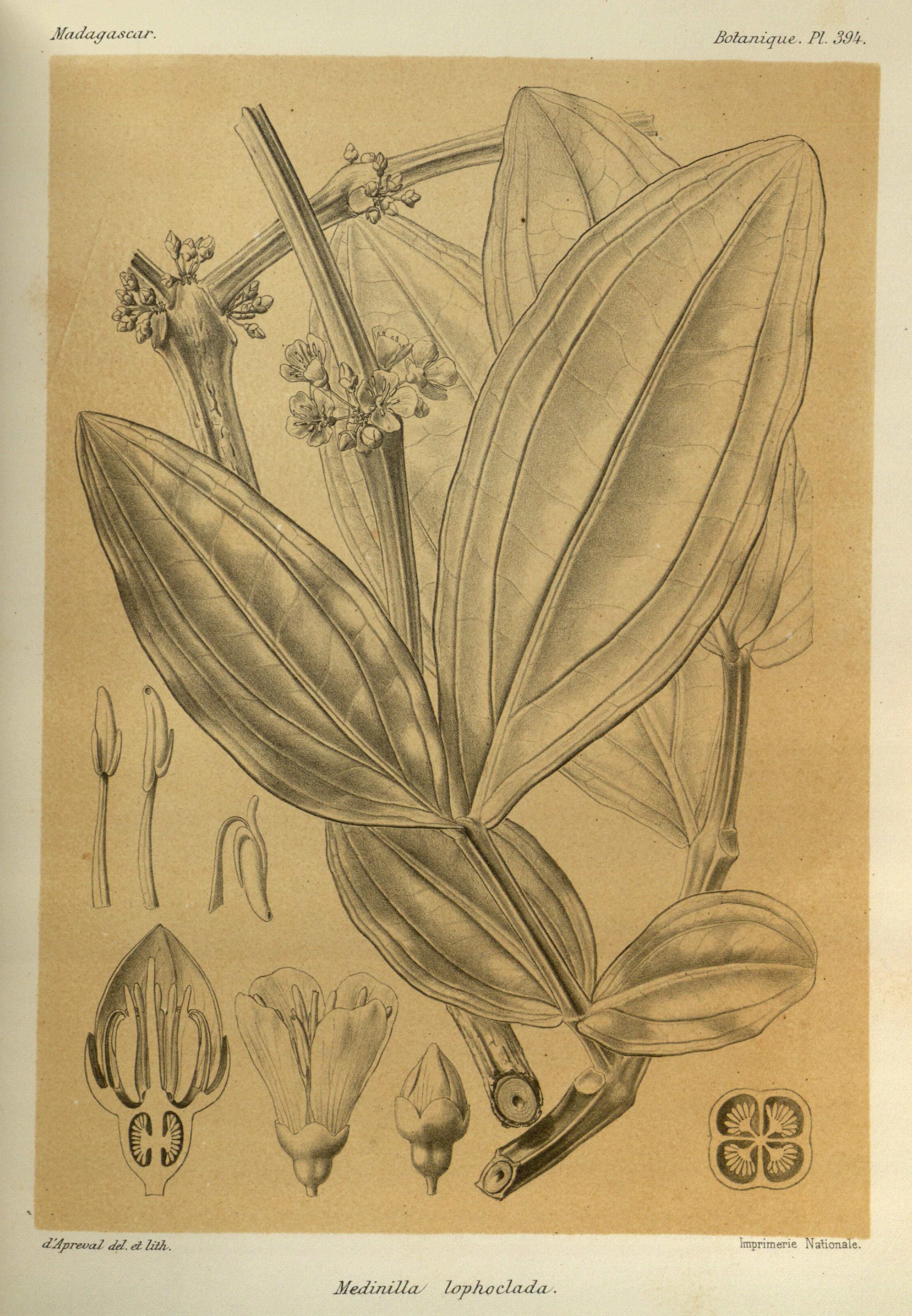 no full size  illustration available (3a)