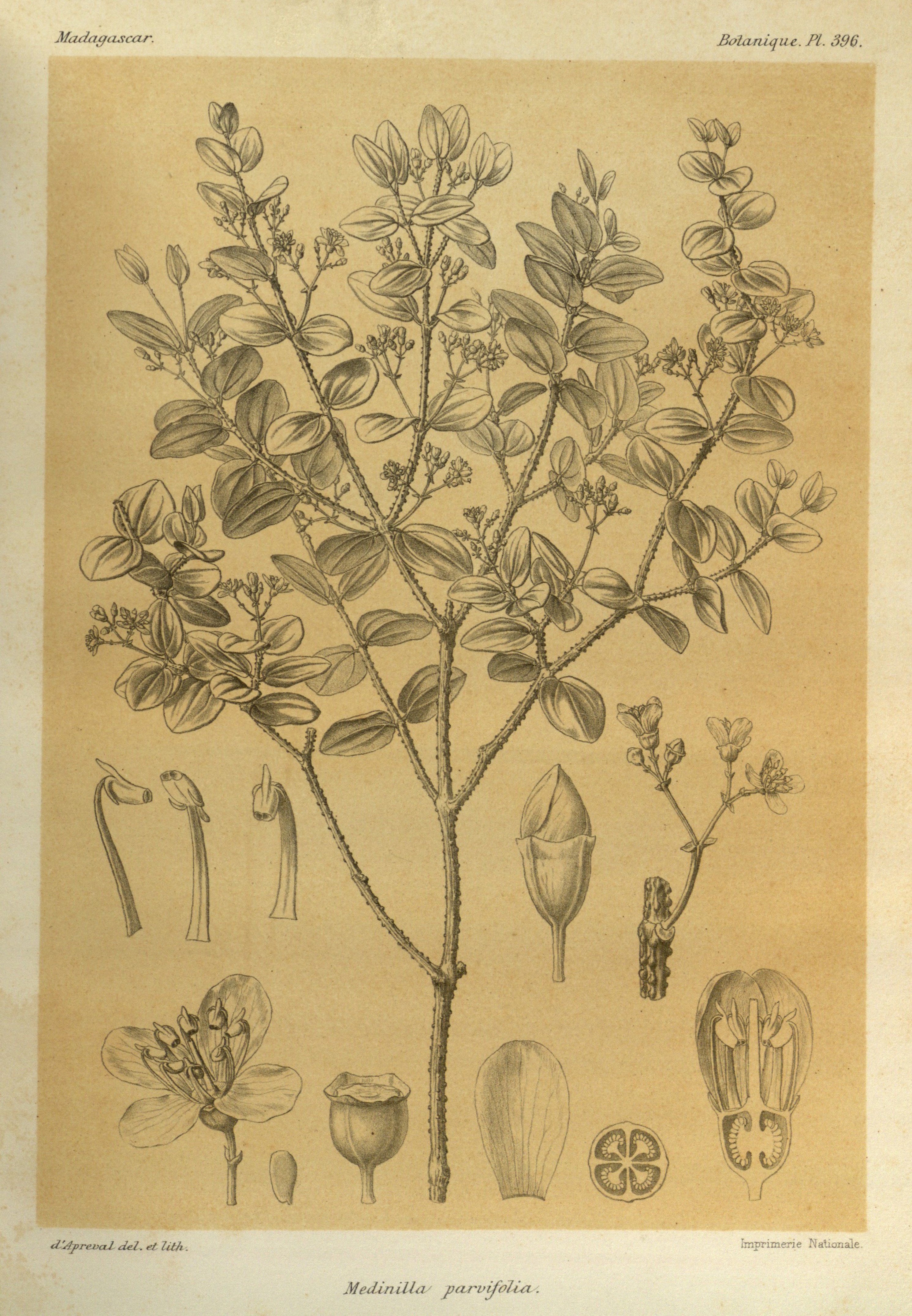 no full size  illustration available (3a)