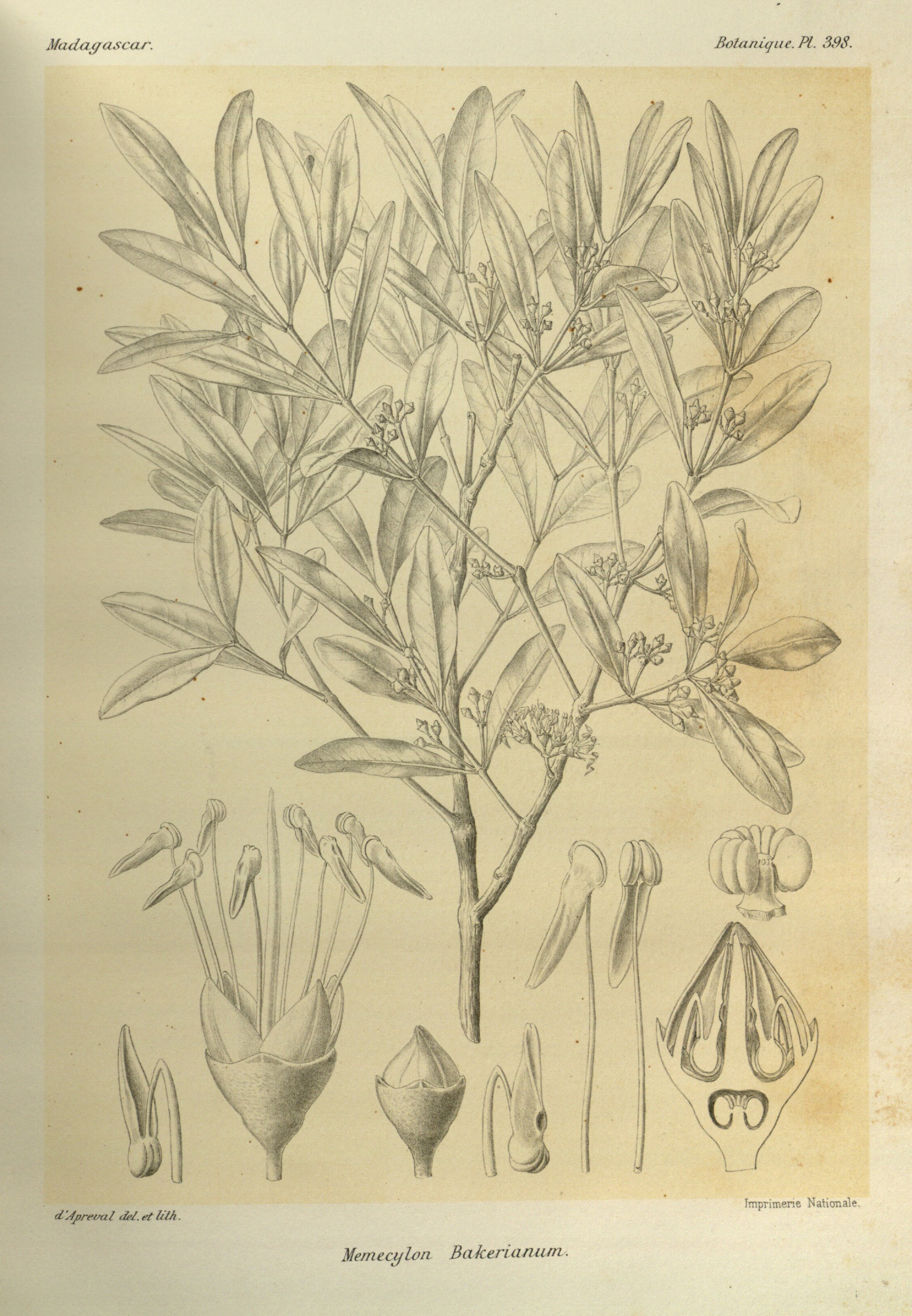 no full size  illustration available (3a)