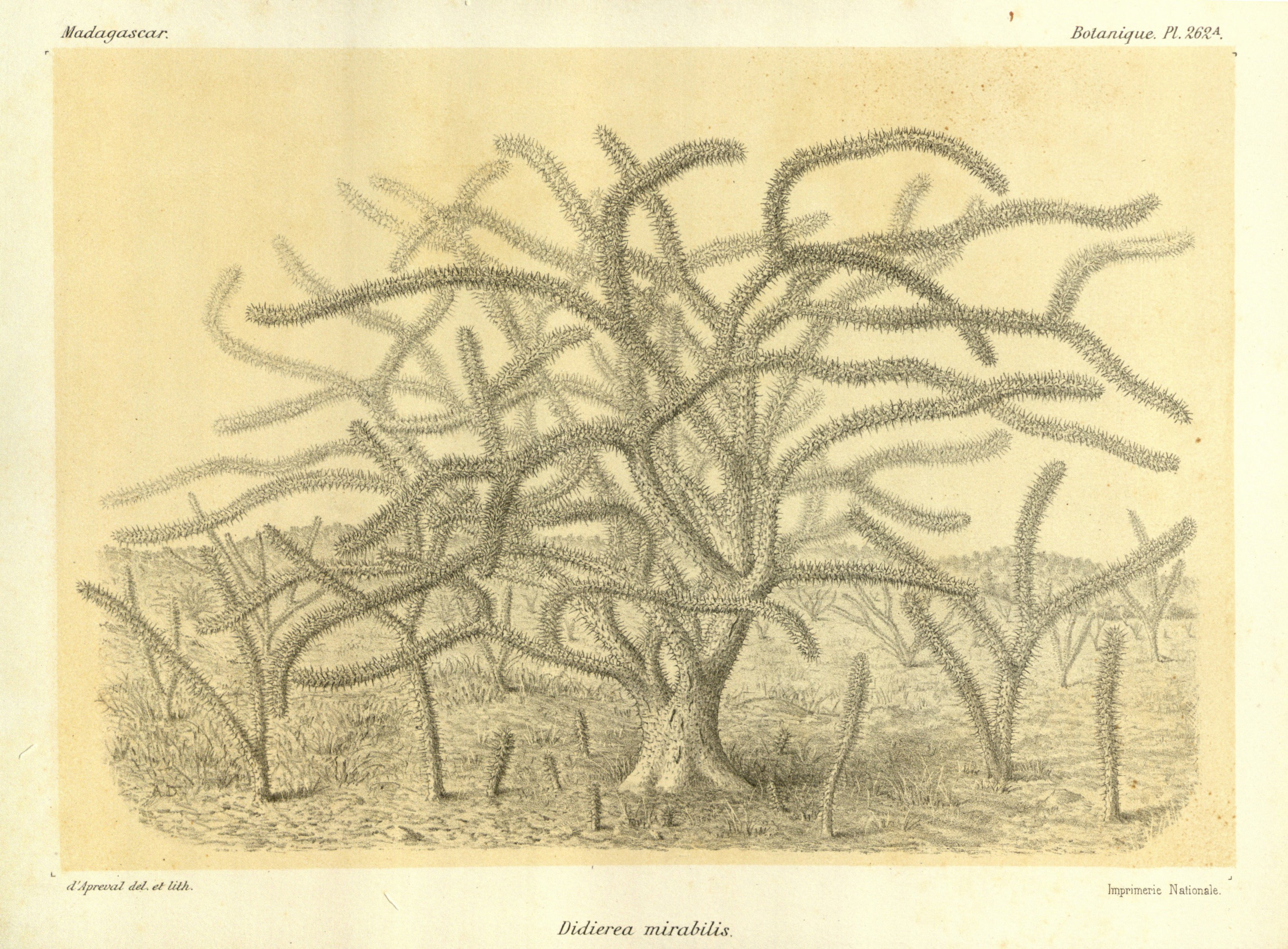 no full size  illustration available (3a)