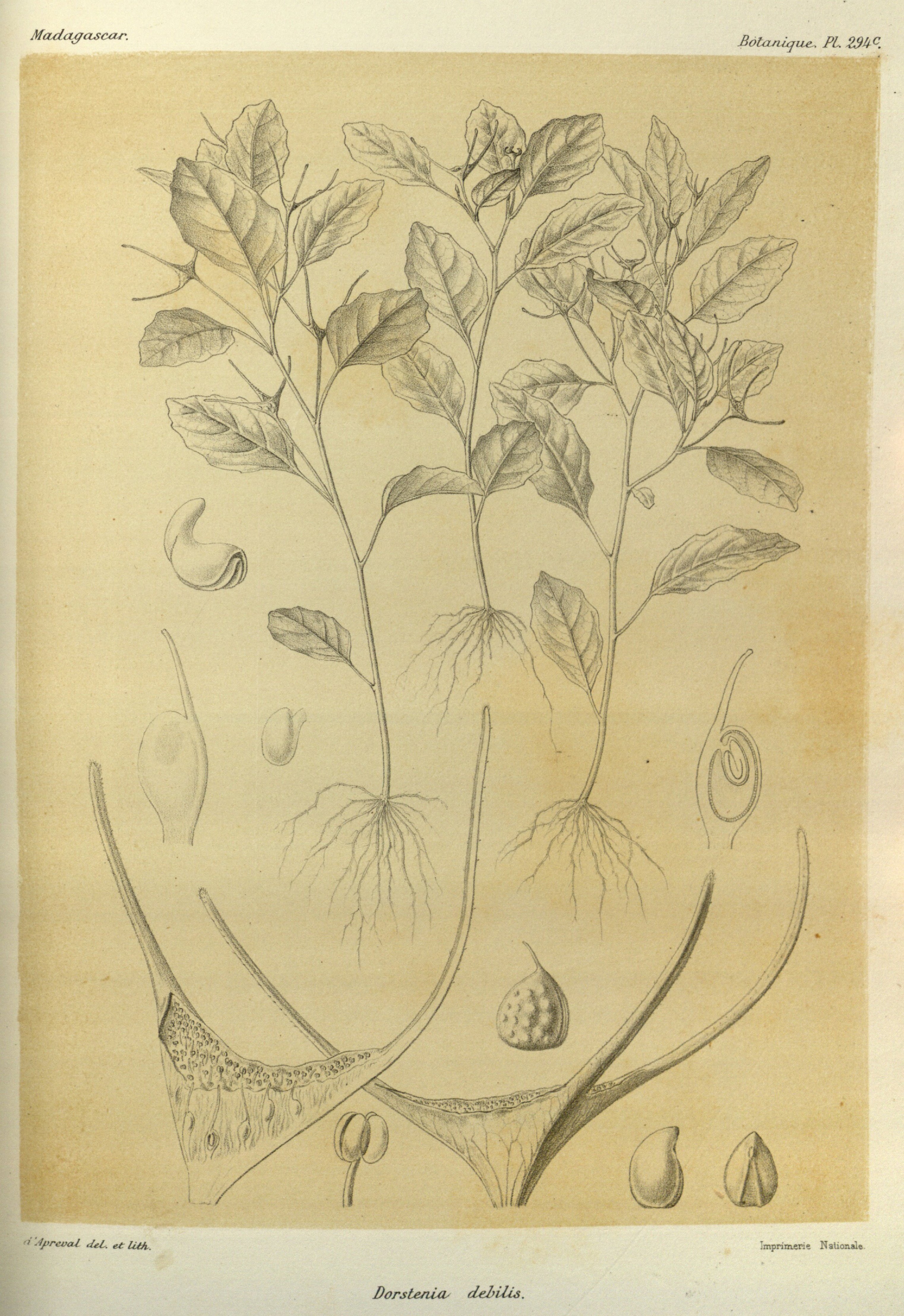 no full size  illustration available (3a)