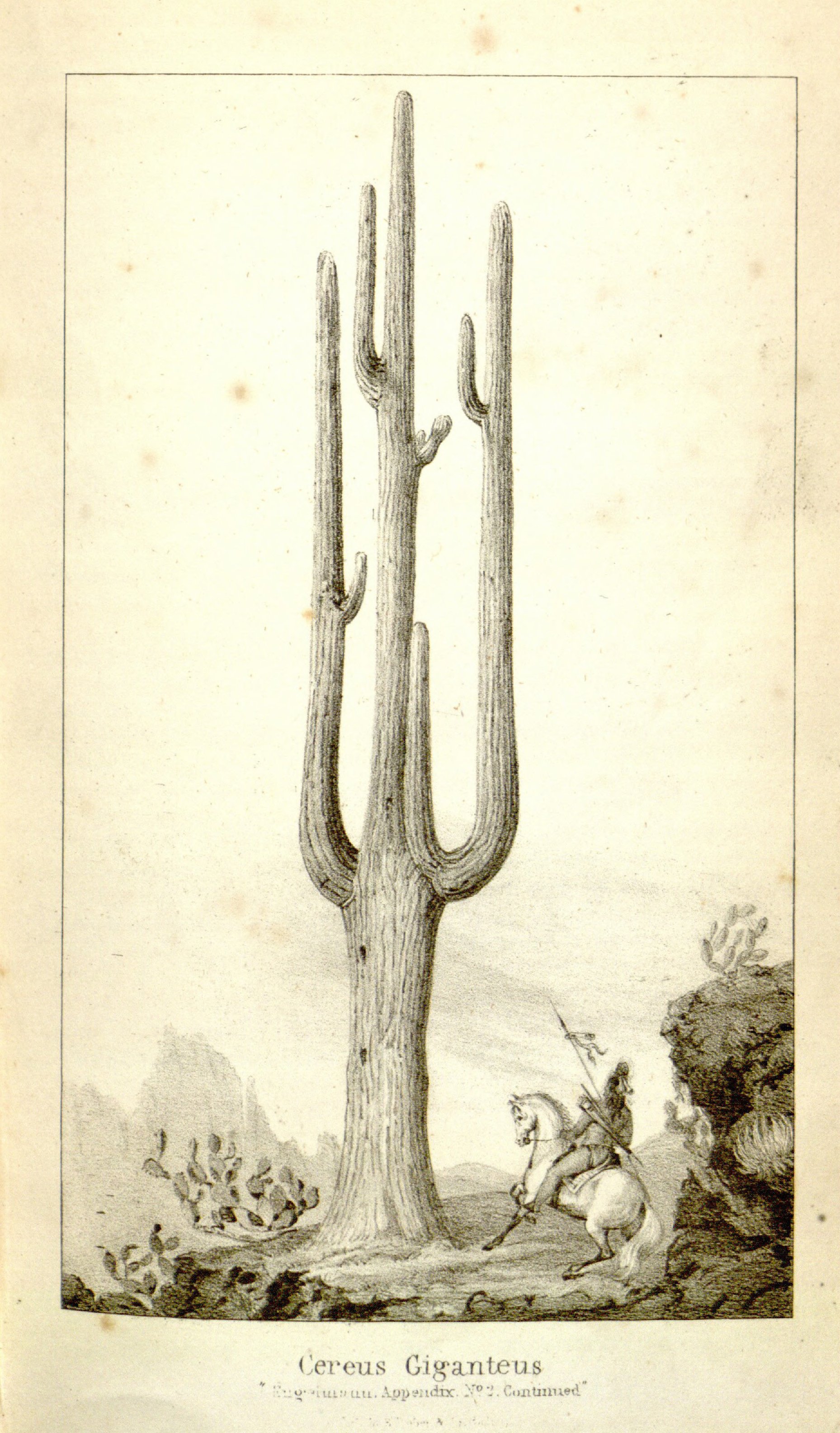 no full size  illustration available (3a)