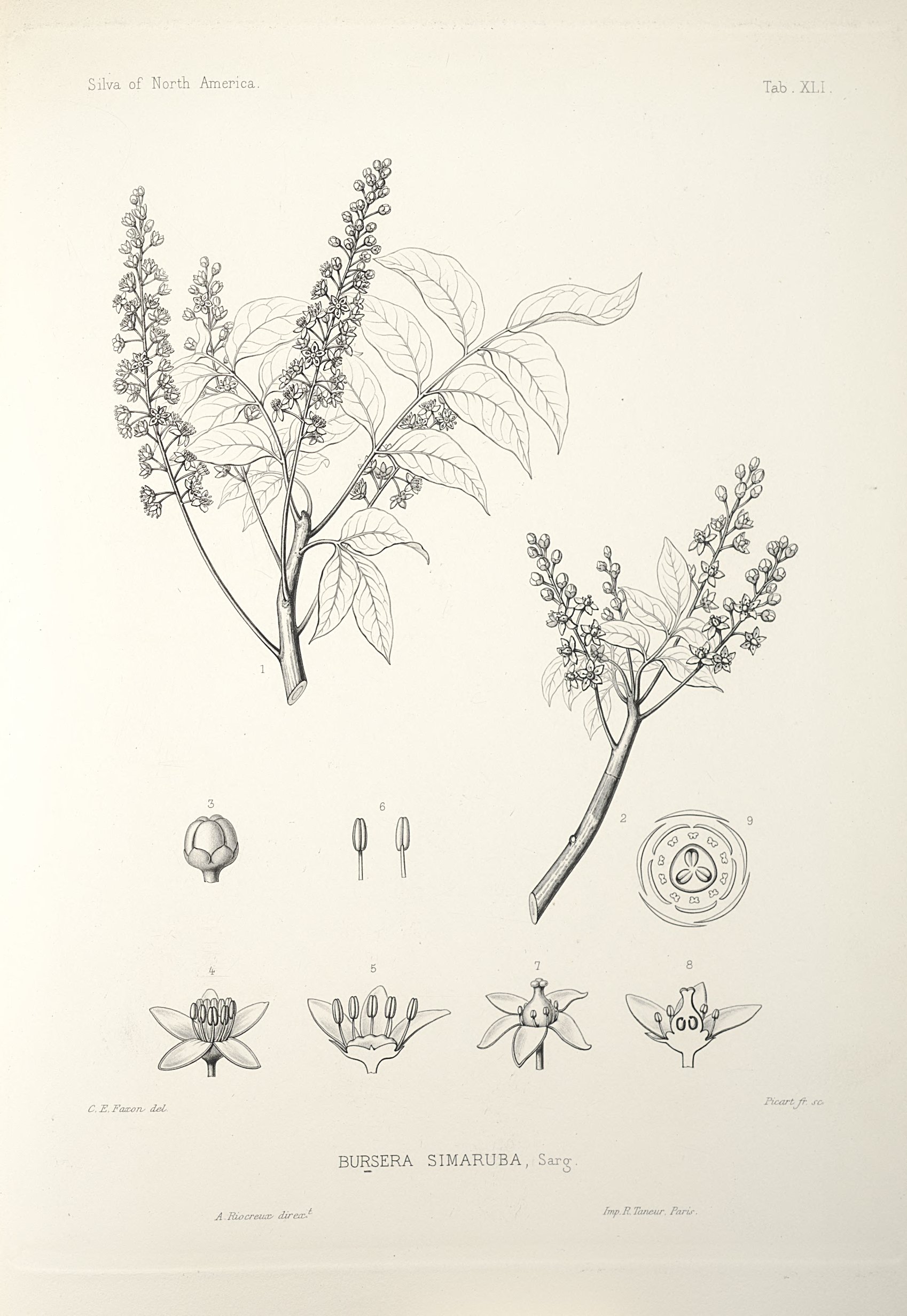 no full size  illustration available (3a)