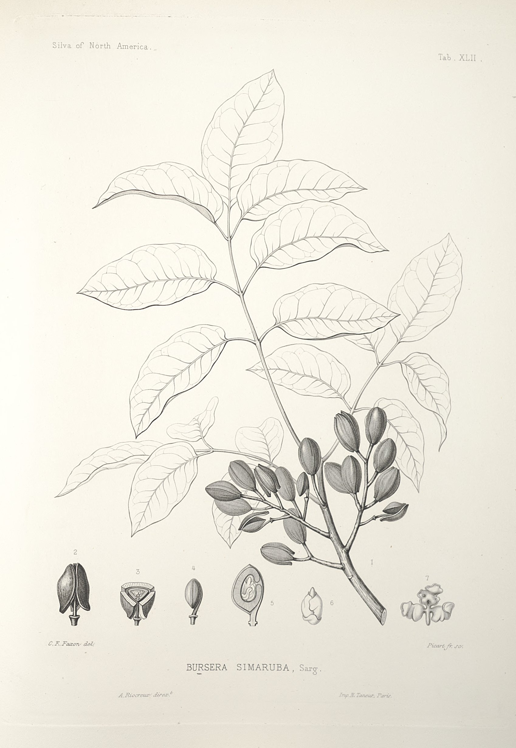 no full size  illustration available (3a)