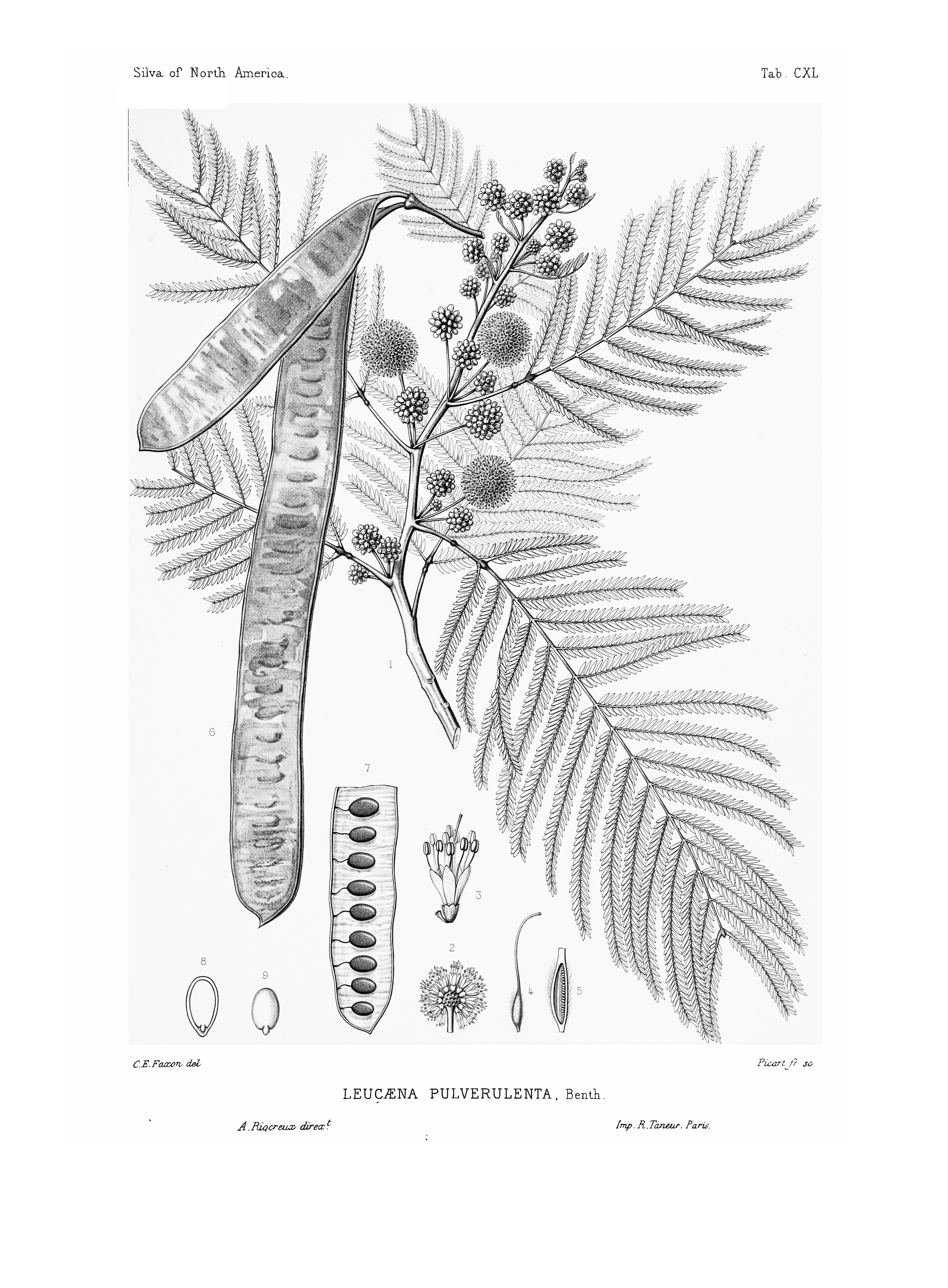 no full size  illustration available (3a)