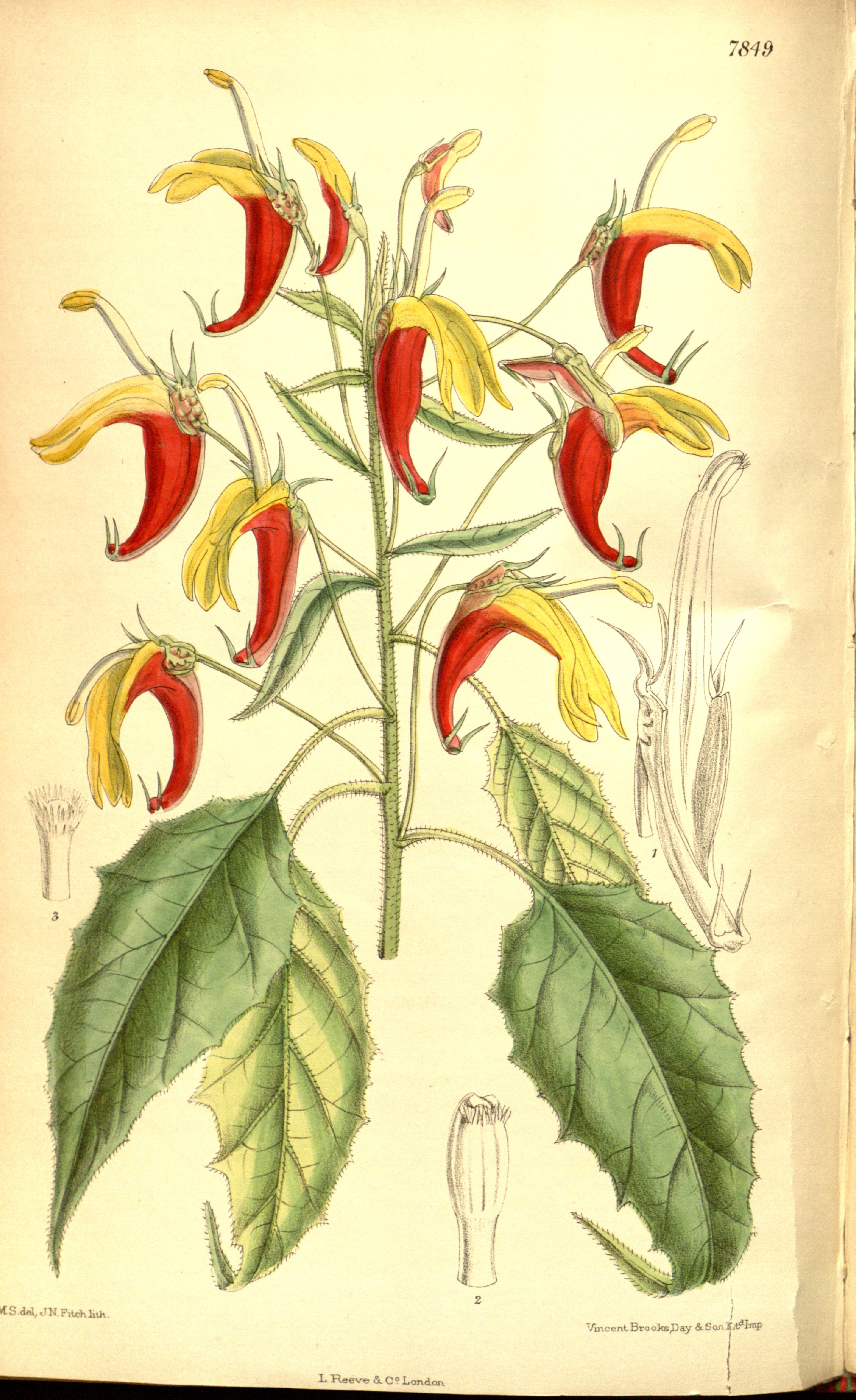 no full size  illustration available (3a)