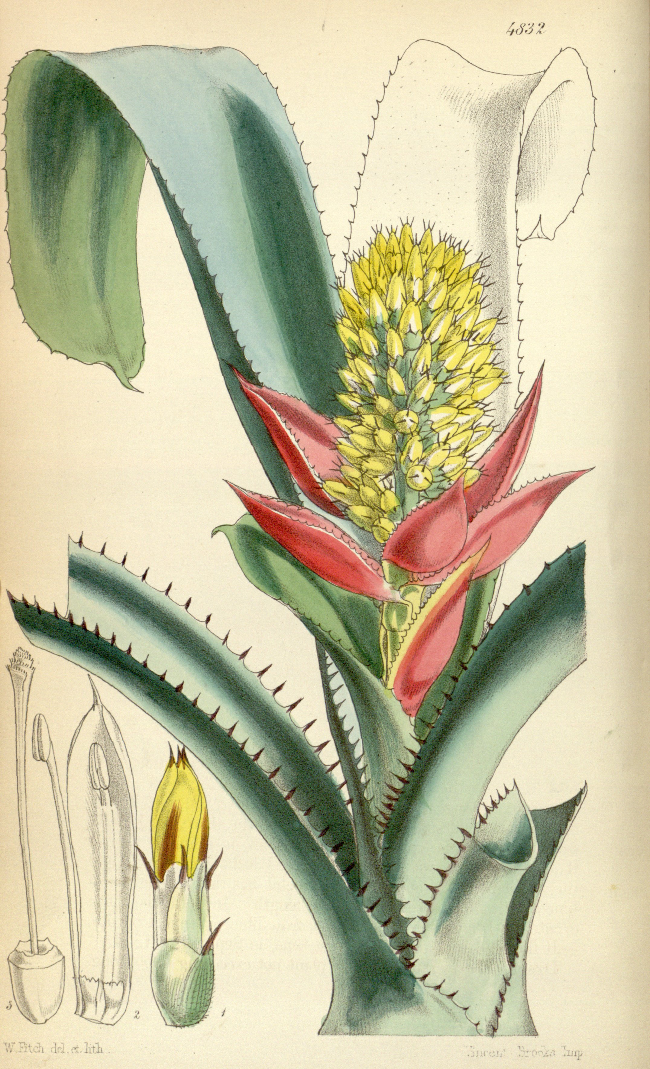 no full size  illustration available (3a)