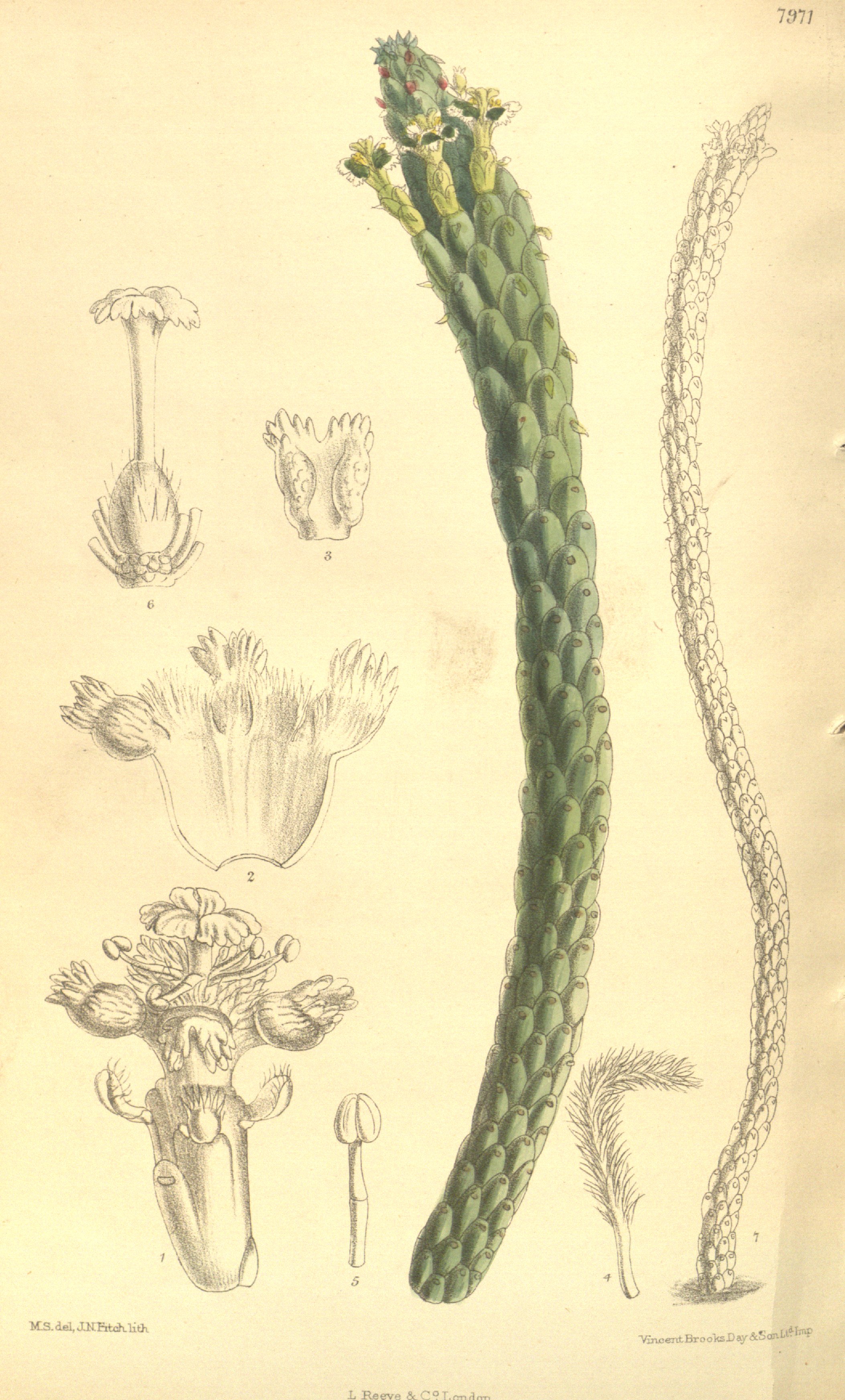 no full size  illustration available (3a)