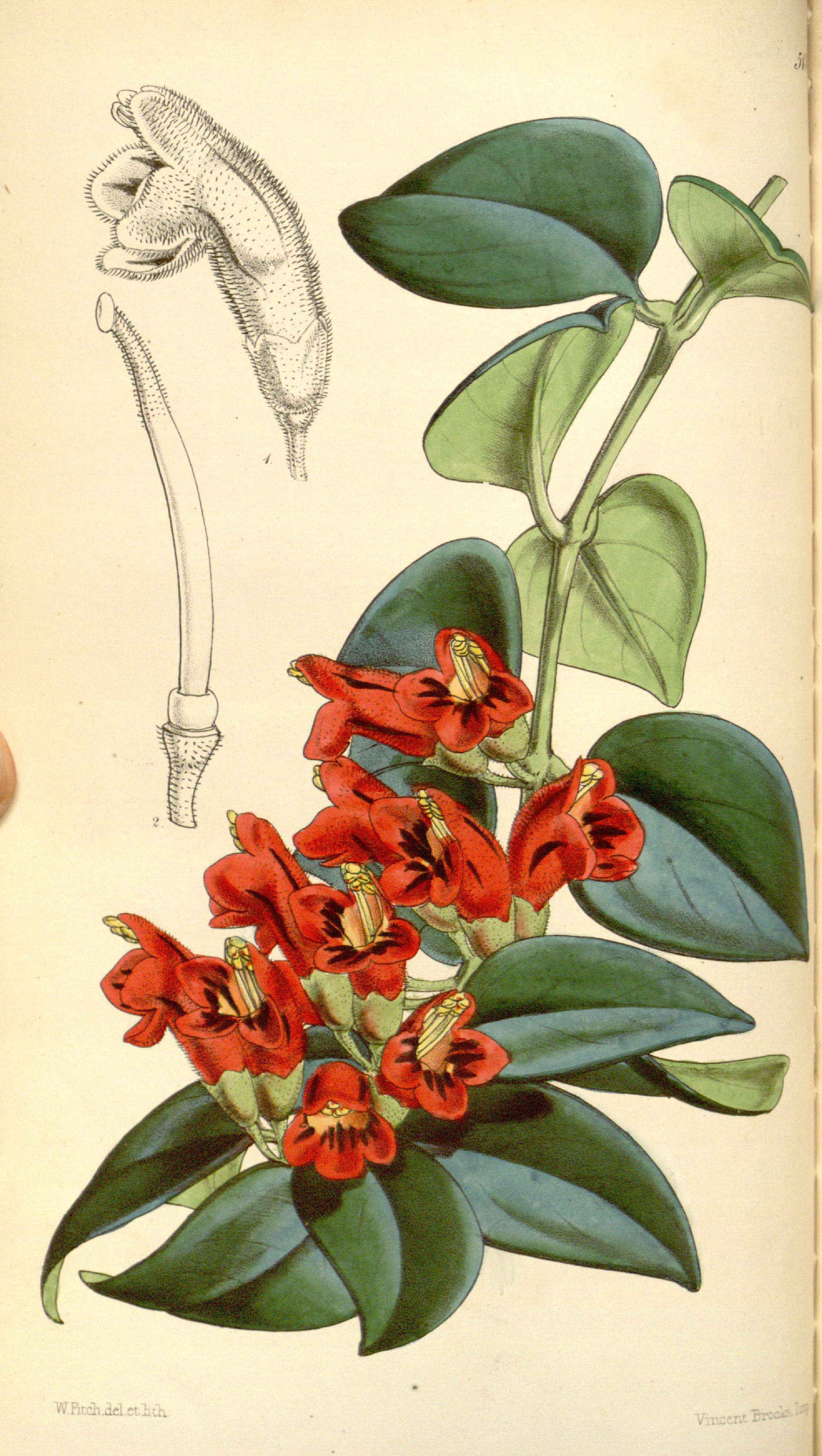 no full size  illustration available (3a)