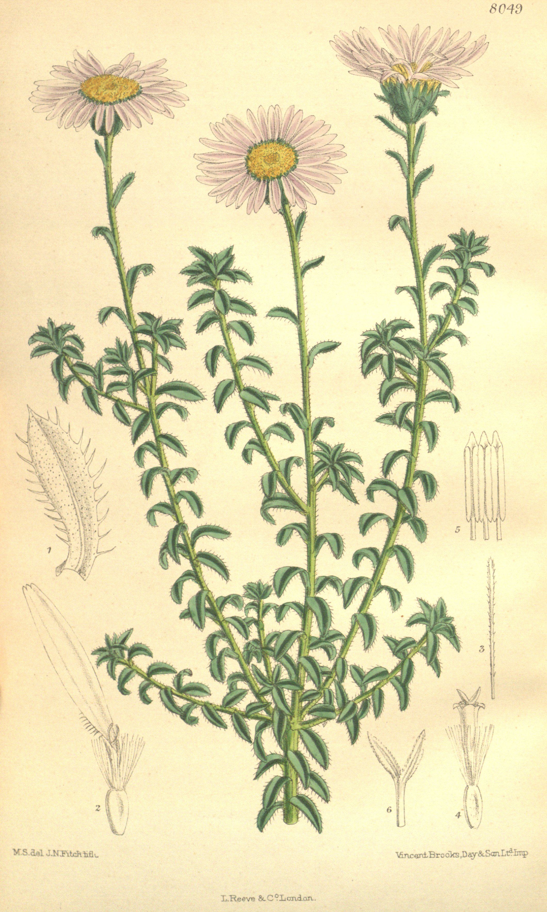 no full size  illustration available (3a)