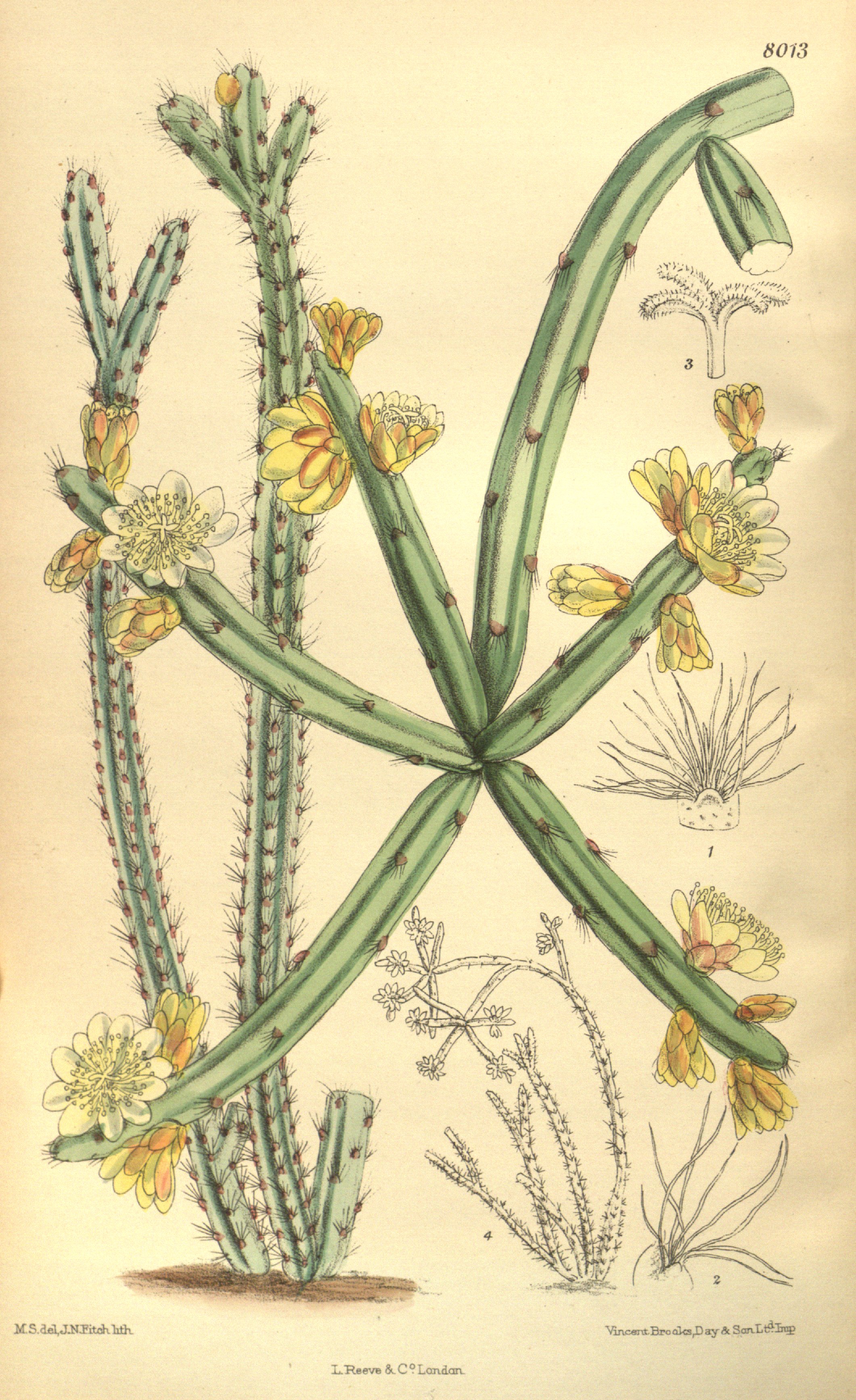 no full size  illustration available (3a)