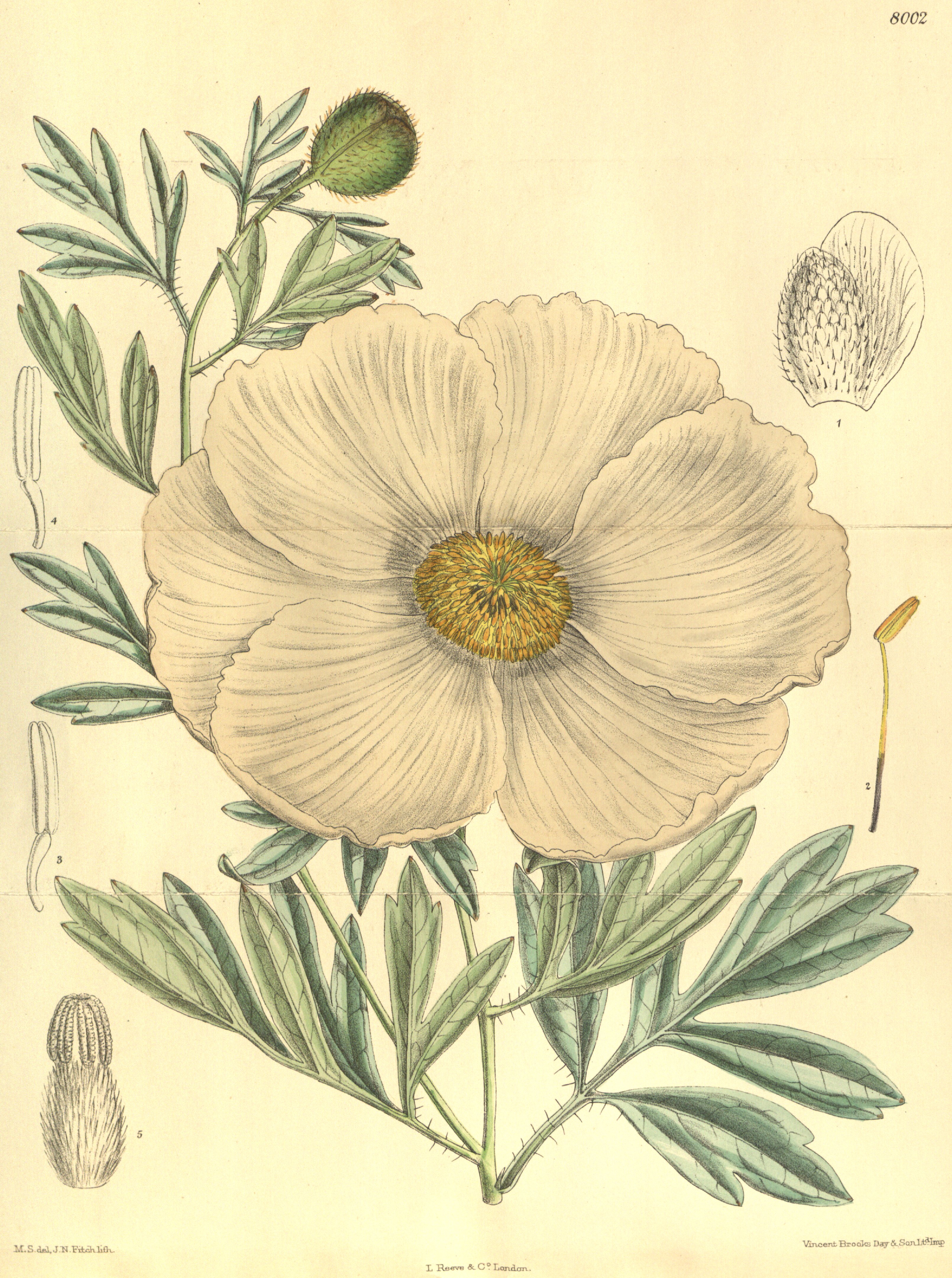 no full size  illustration available (3a)