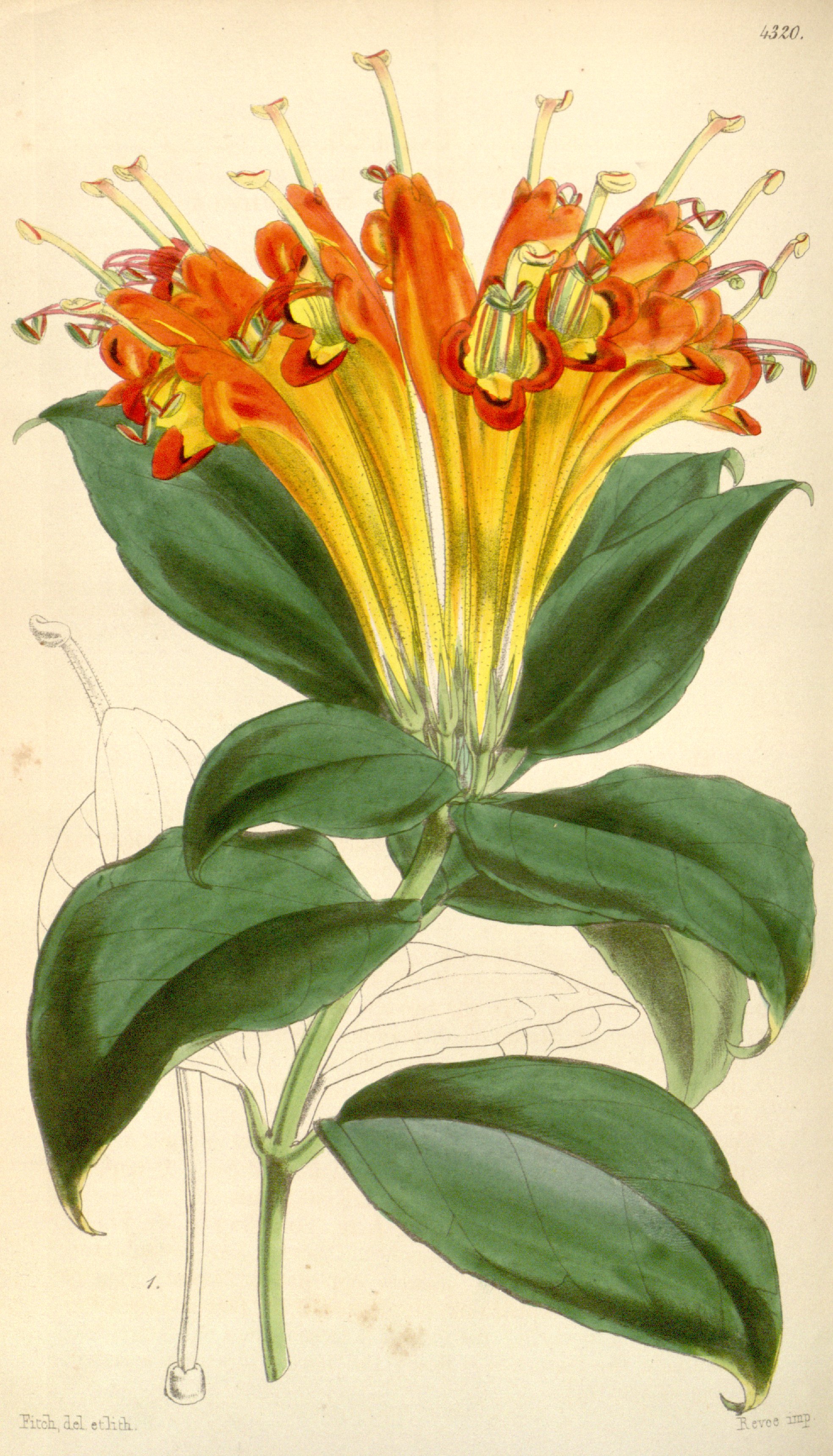 no full size  illustration available (3a)