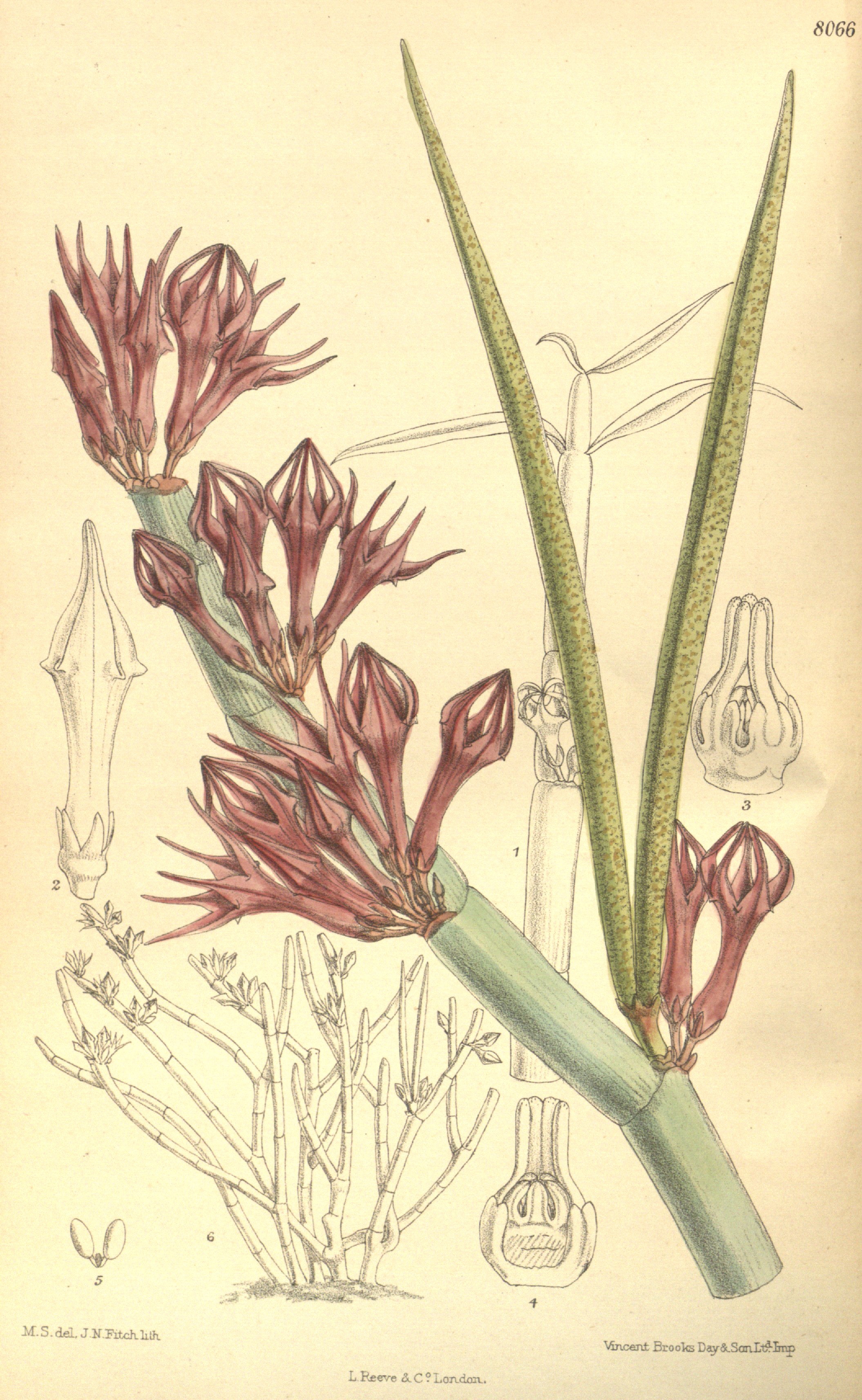 no full size  illustration available (3a)