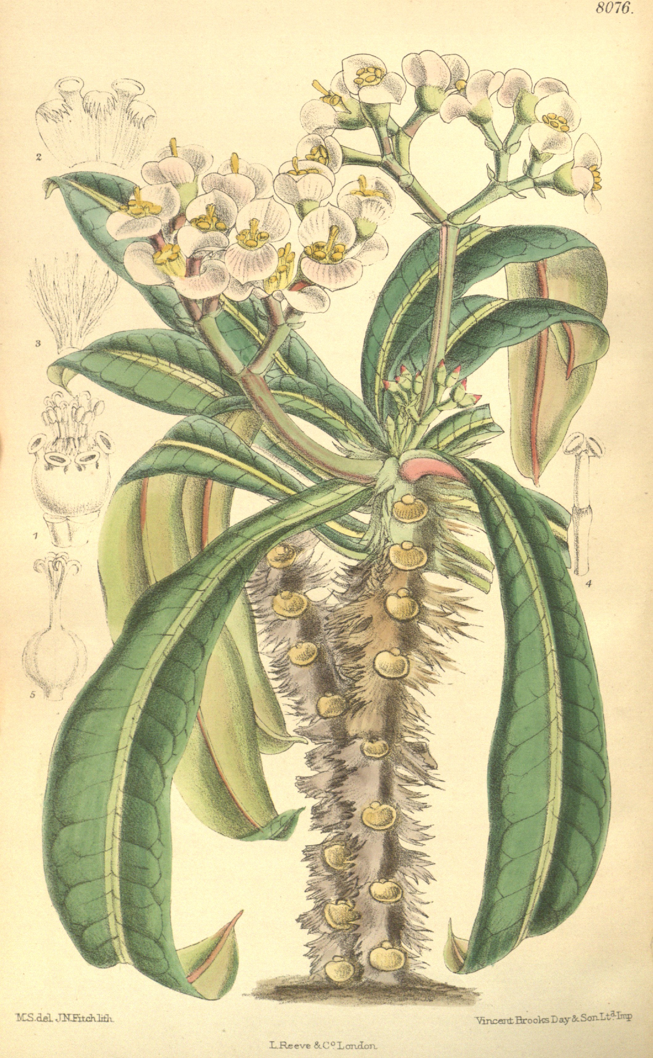 no full size  illustration available (3a)