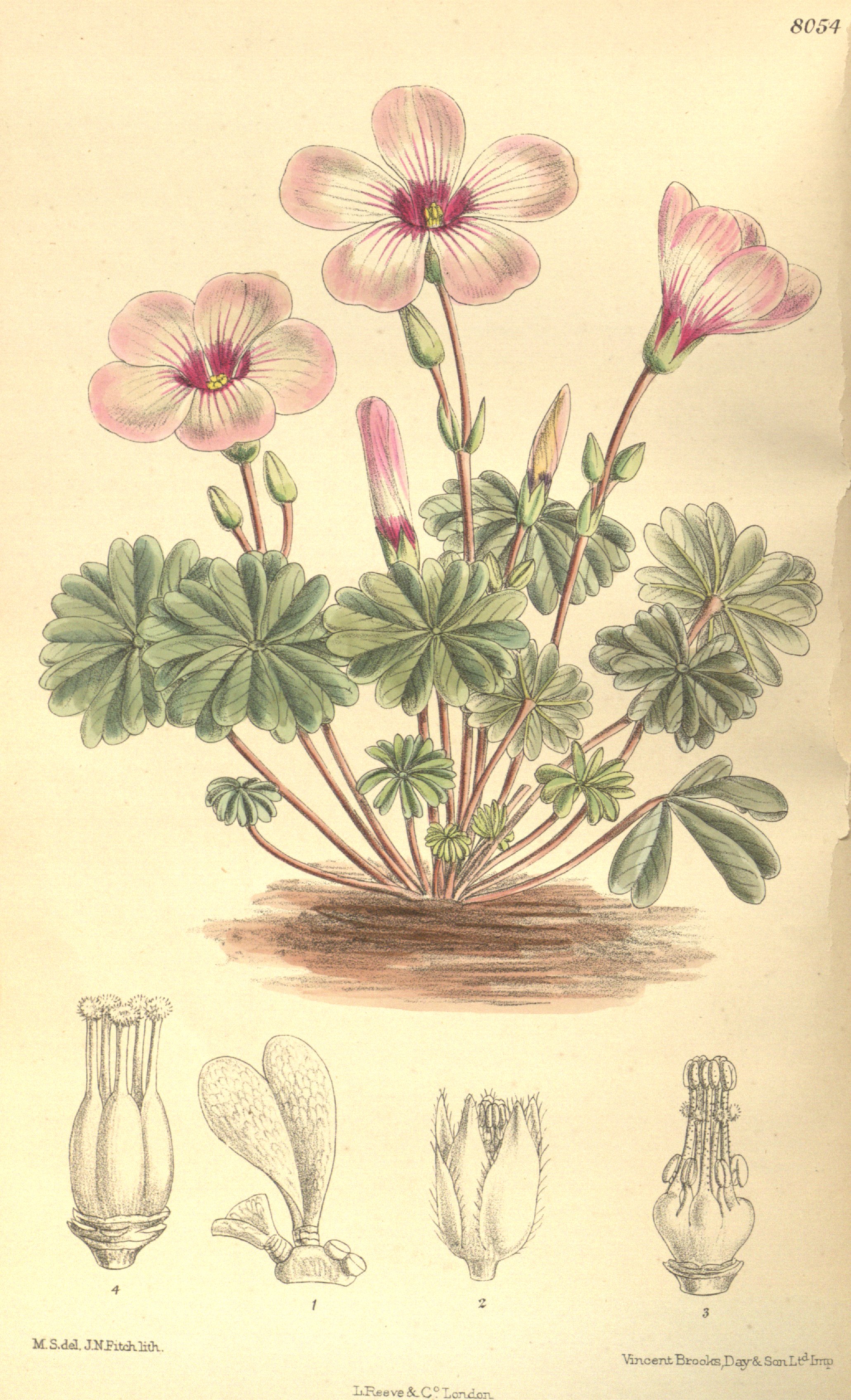 no full size  illustration available (3a)