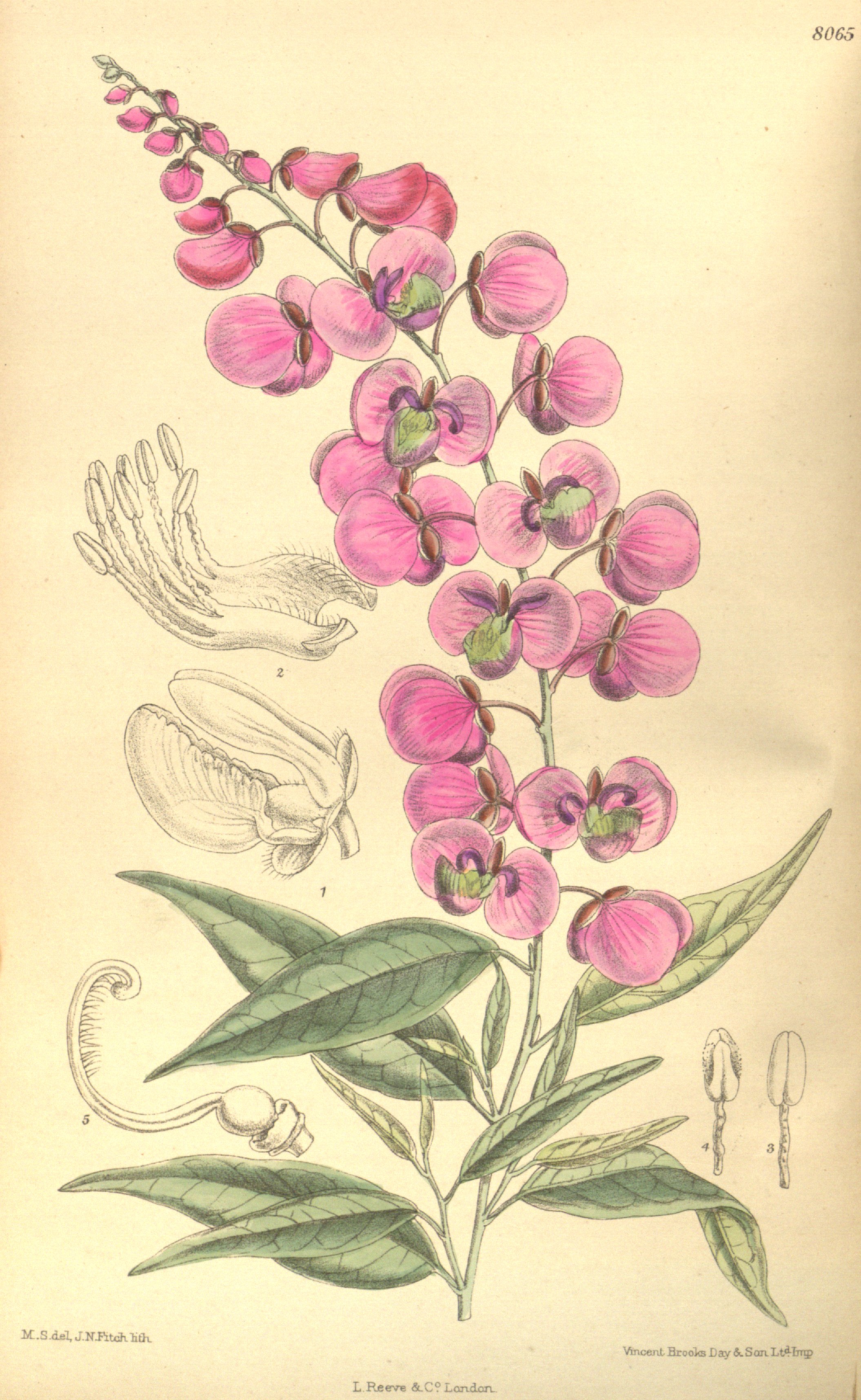 no full size  illustration available (3a)