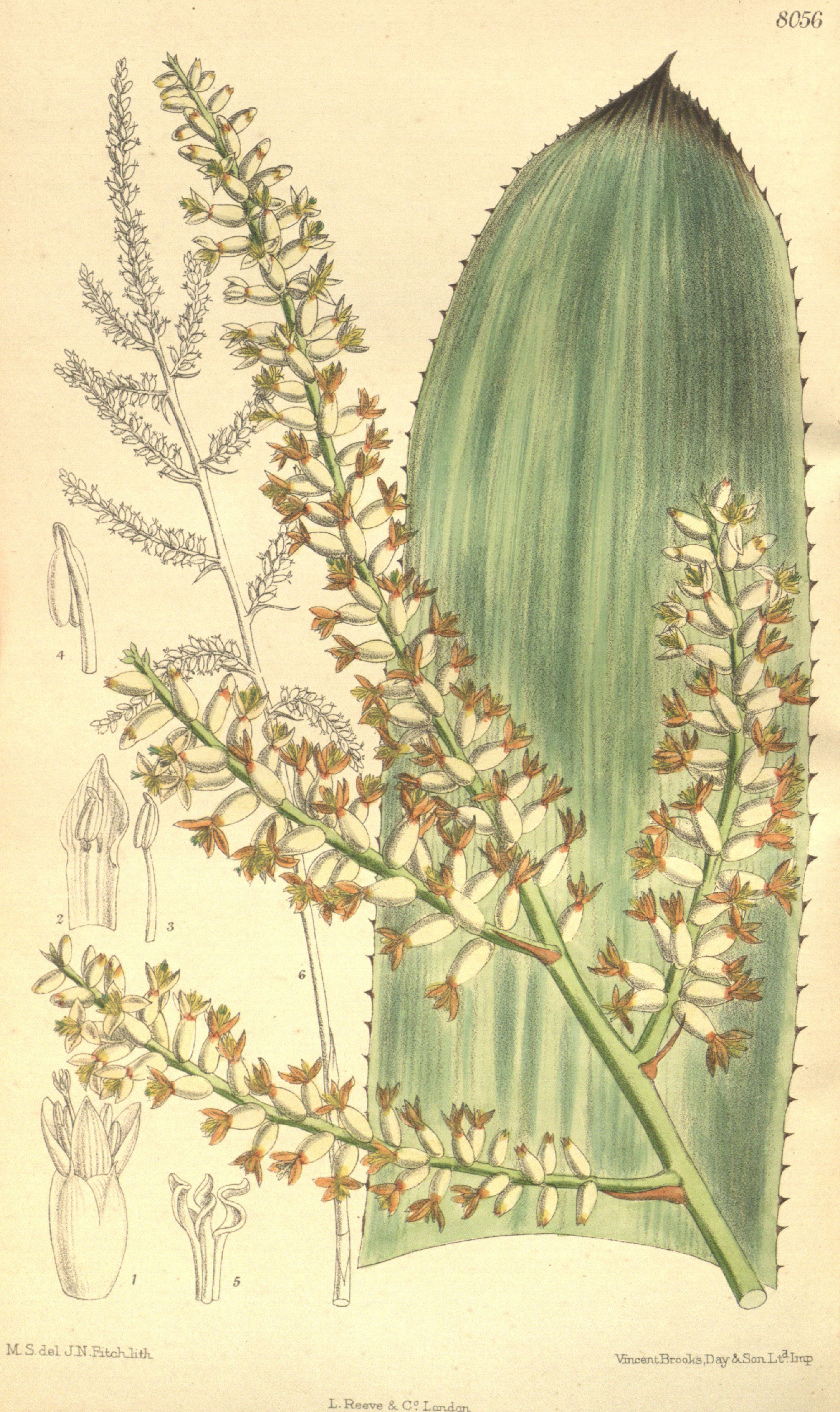 no full size  illustration available (3a)